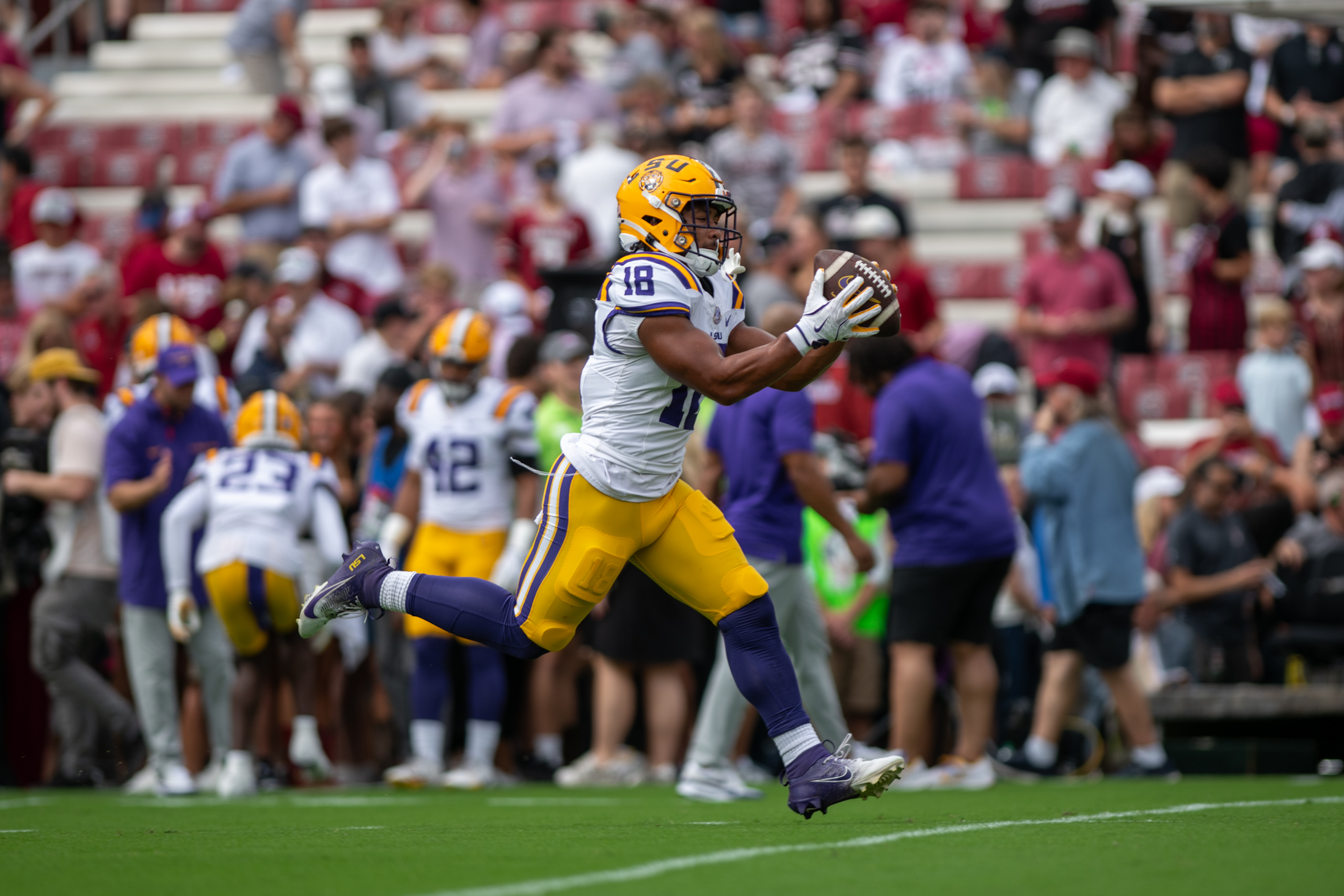 PHOTOS: LSU football beats South Carolina 36-33 on the road