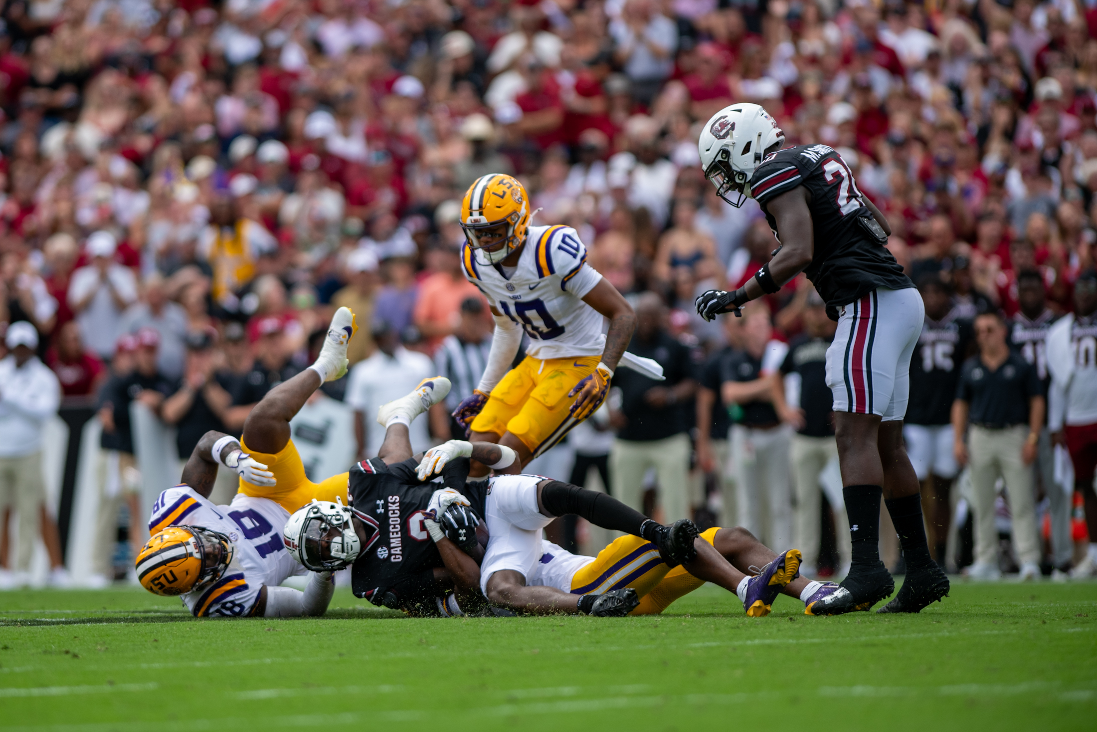 PHOTOS: LSU football beats South Carolina 36-33 on the road