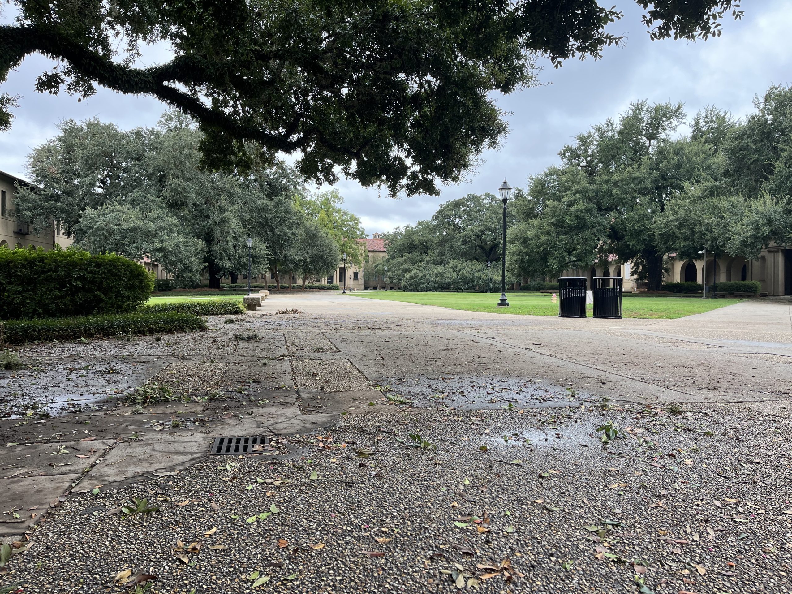 The morning after Hurricane Francine: How LSU students weathered the storm inside dorms