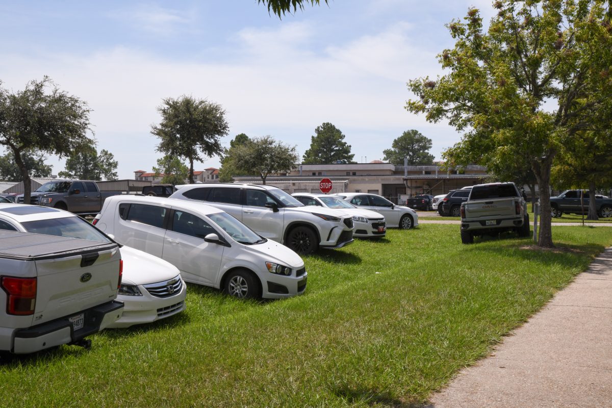 Cars and trucks sit parked on the grass at an LSU commuter lot on Tuesday, Sept. 3, 2024, on S. Quad Drive in Baton Rouge, La.