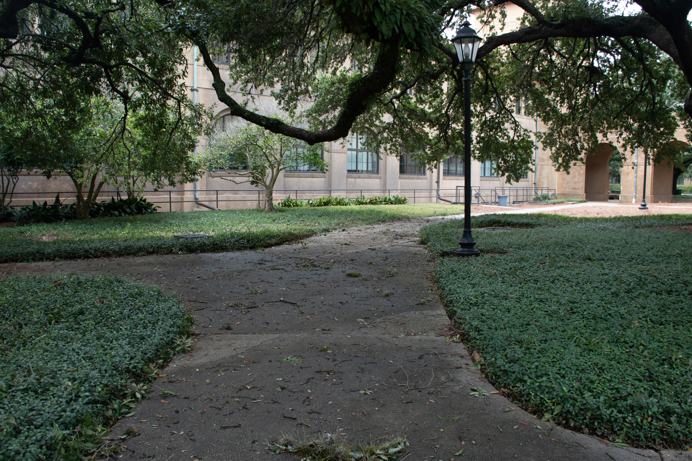 PHOTOS: Hurricane Francine aftermath on LSU campus