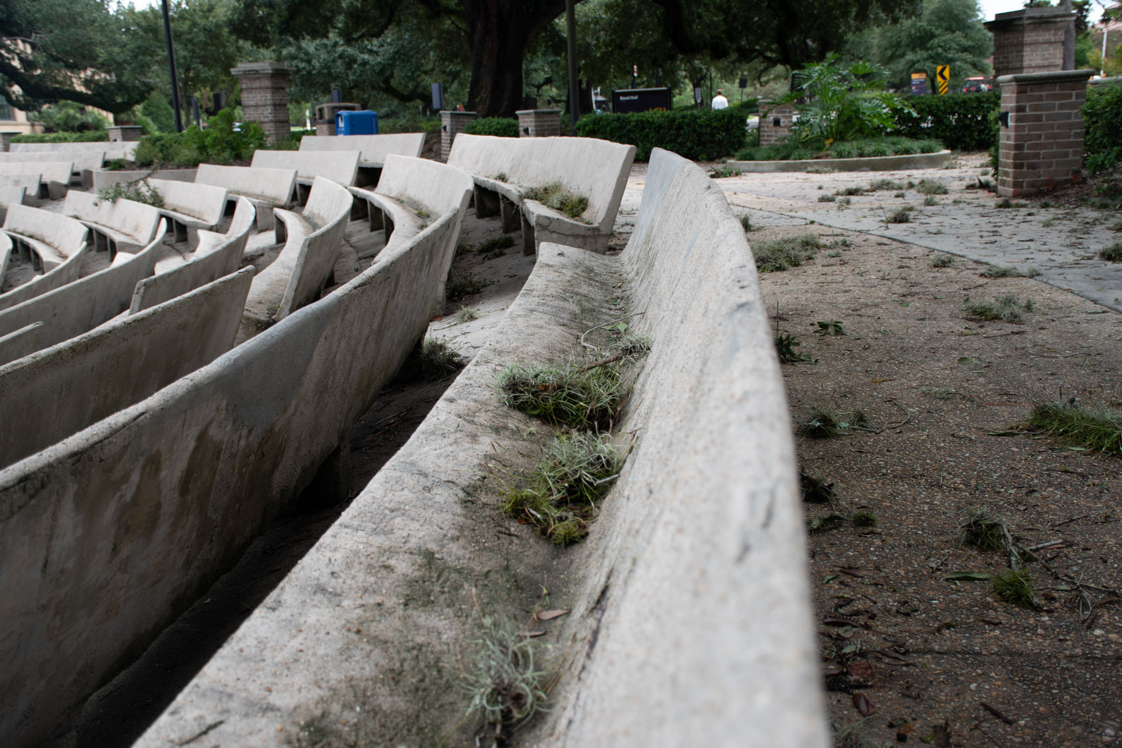 PHOTOS: Hurricane Francine aftermath on LSU campus