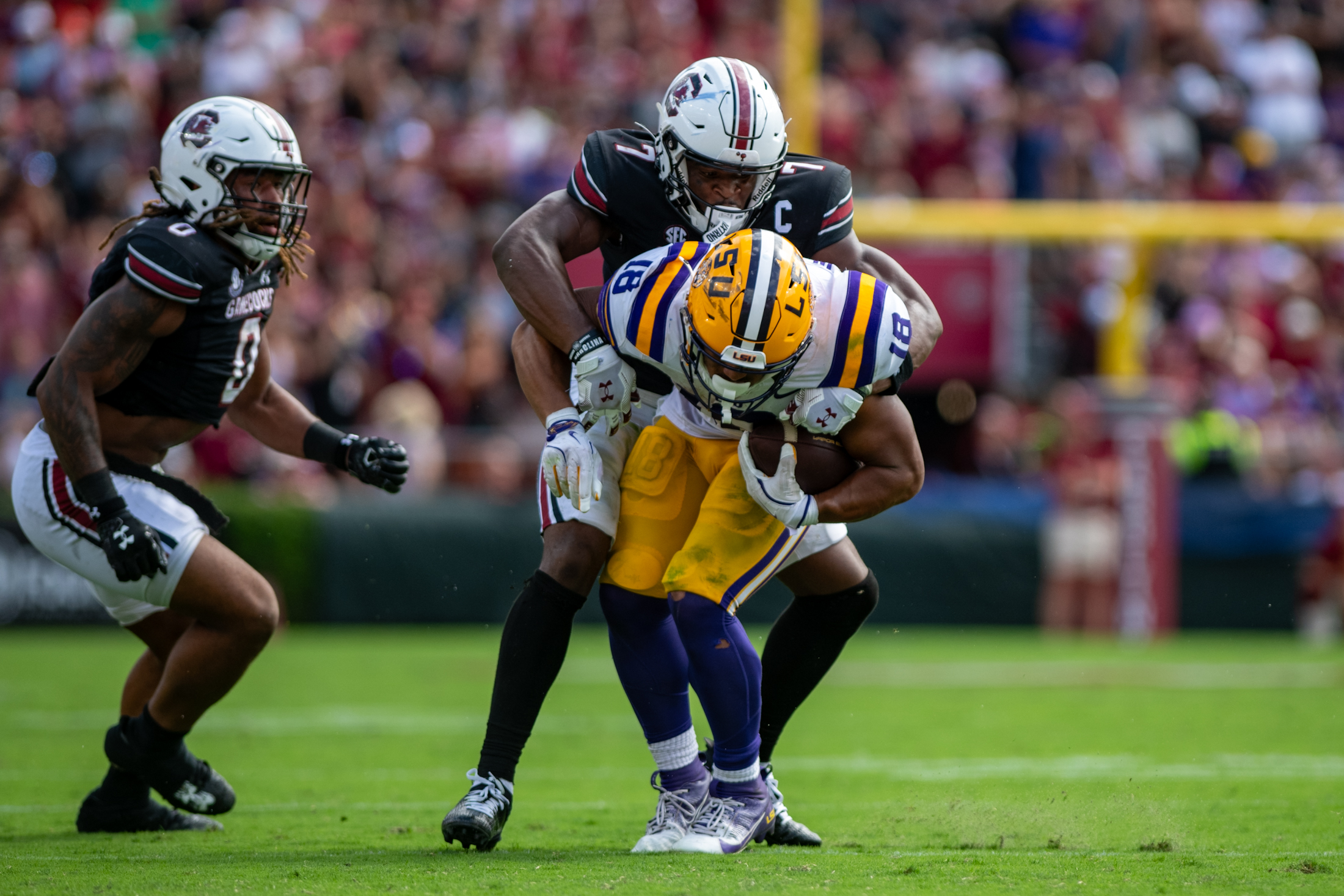 PHOTOS: LSU football beats South Carolina 36-33 on the road