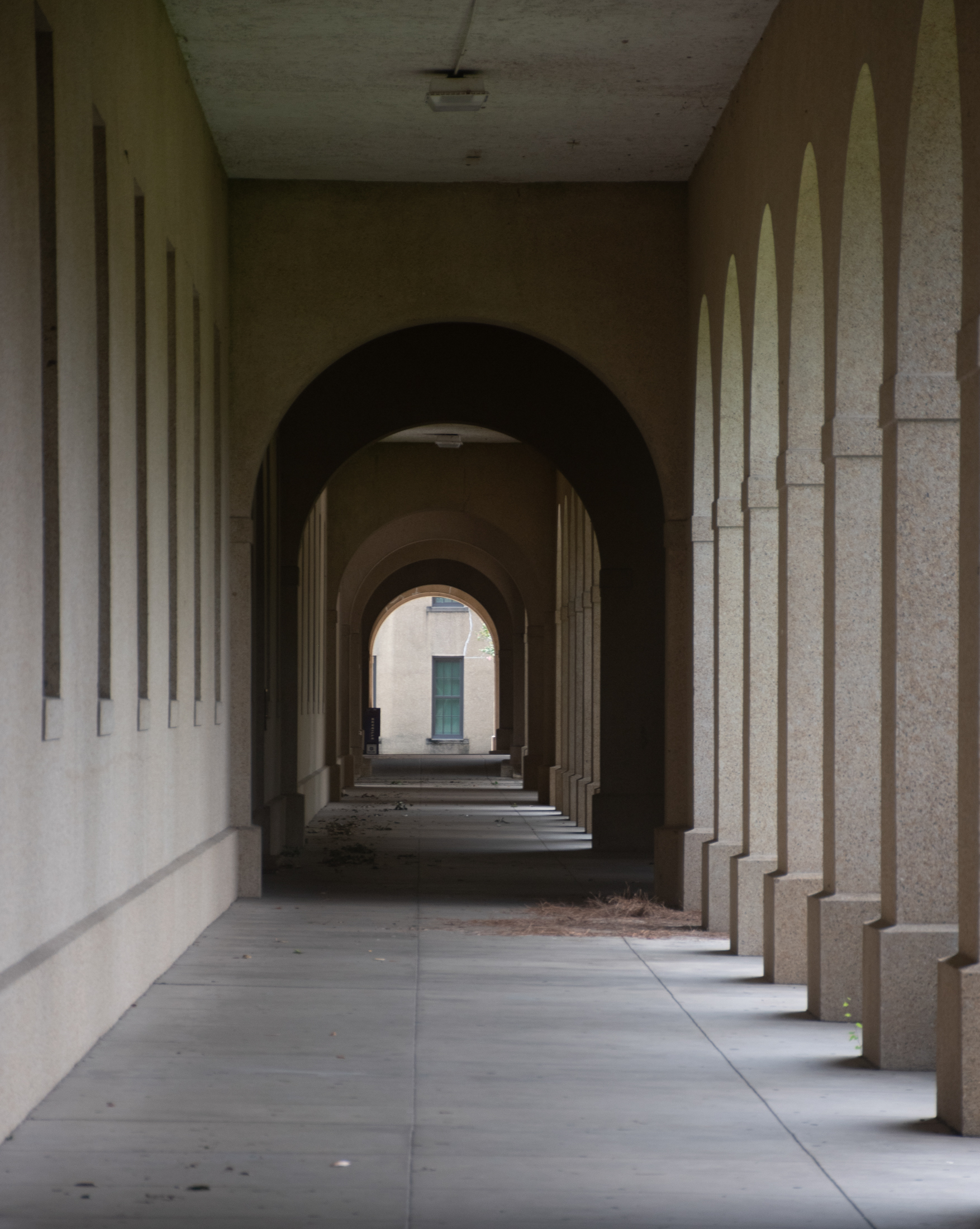 PHOTOS: Hurricane Francine aftermath on LSU campus