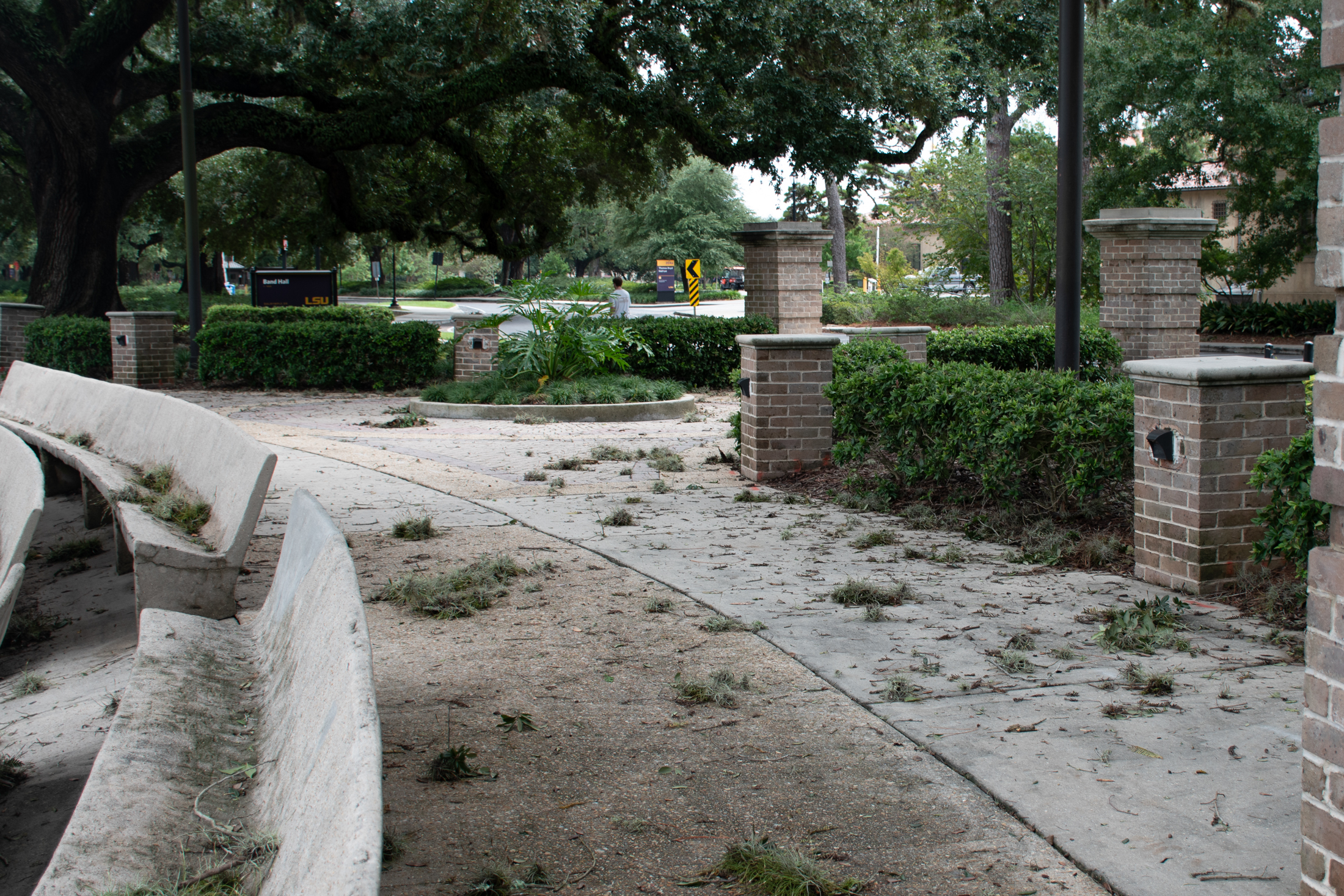 PHOTOS: Hurricane Francine aftermath on LSU campus