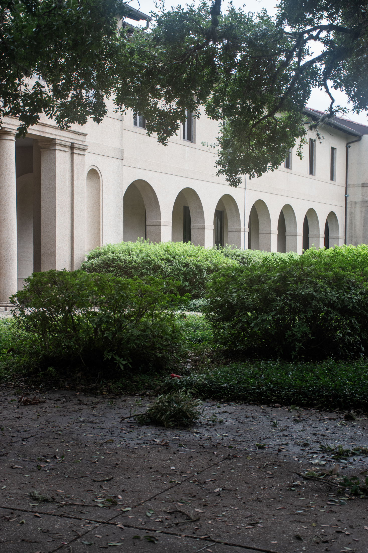 PHOTOS: Hurricane Francine aftermath on LSU campus