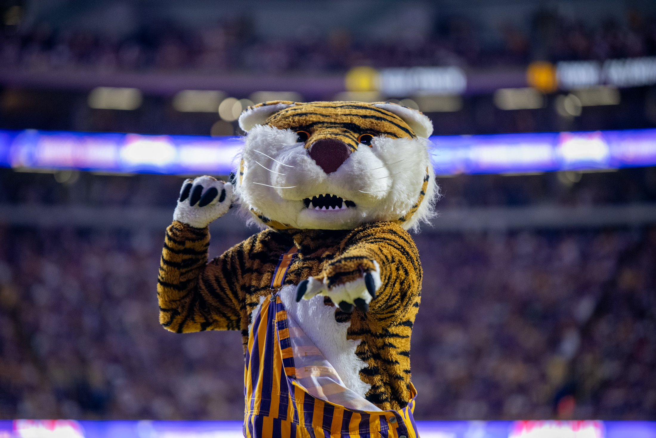 PHOTOS: LSU football beats South Alabama 42-10