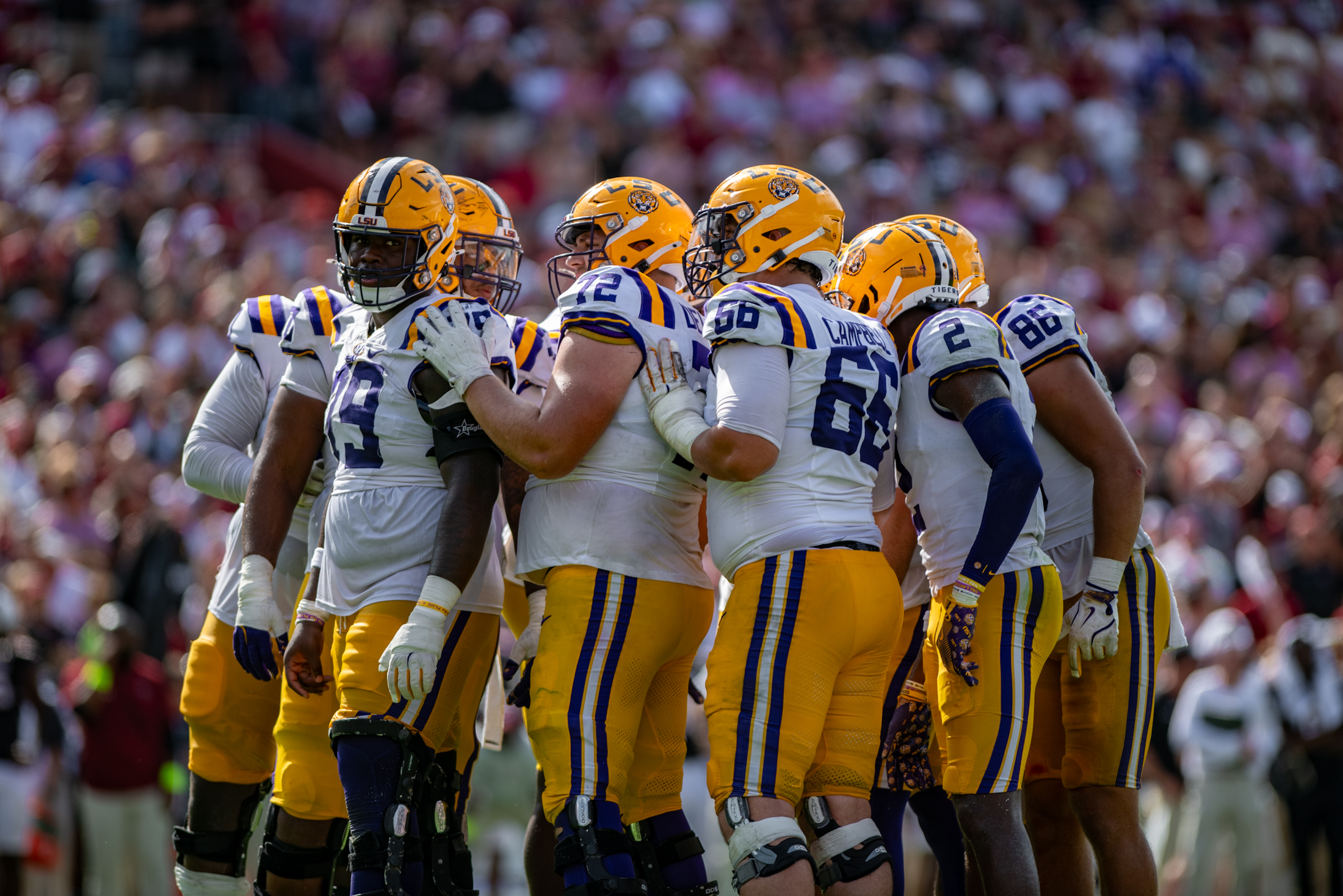 PHOTOS: LSU football beats South Carolina 36-33 on the road