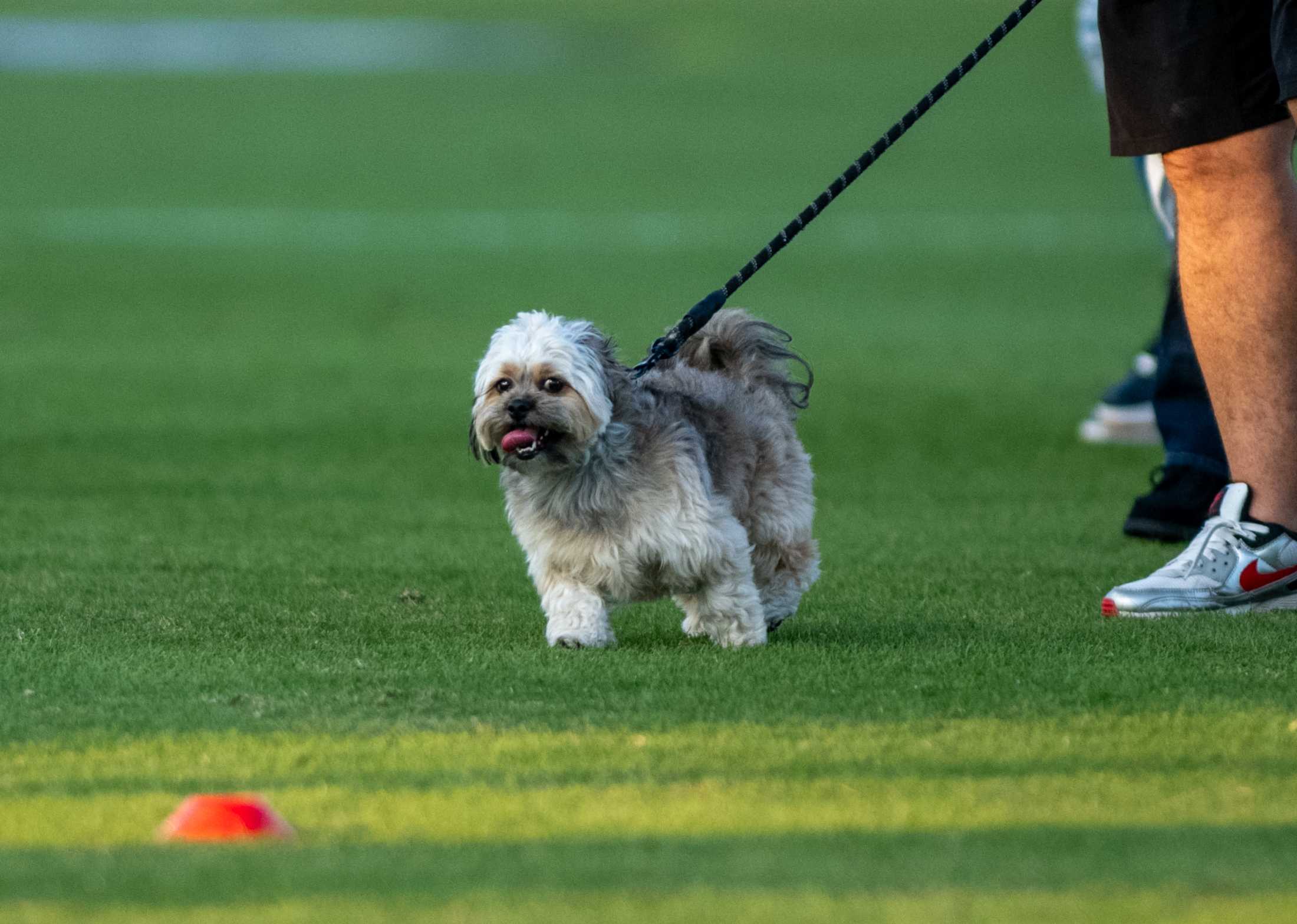 PHOTOS: LSU soccer ties Vanderbilt 0-0