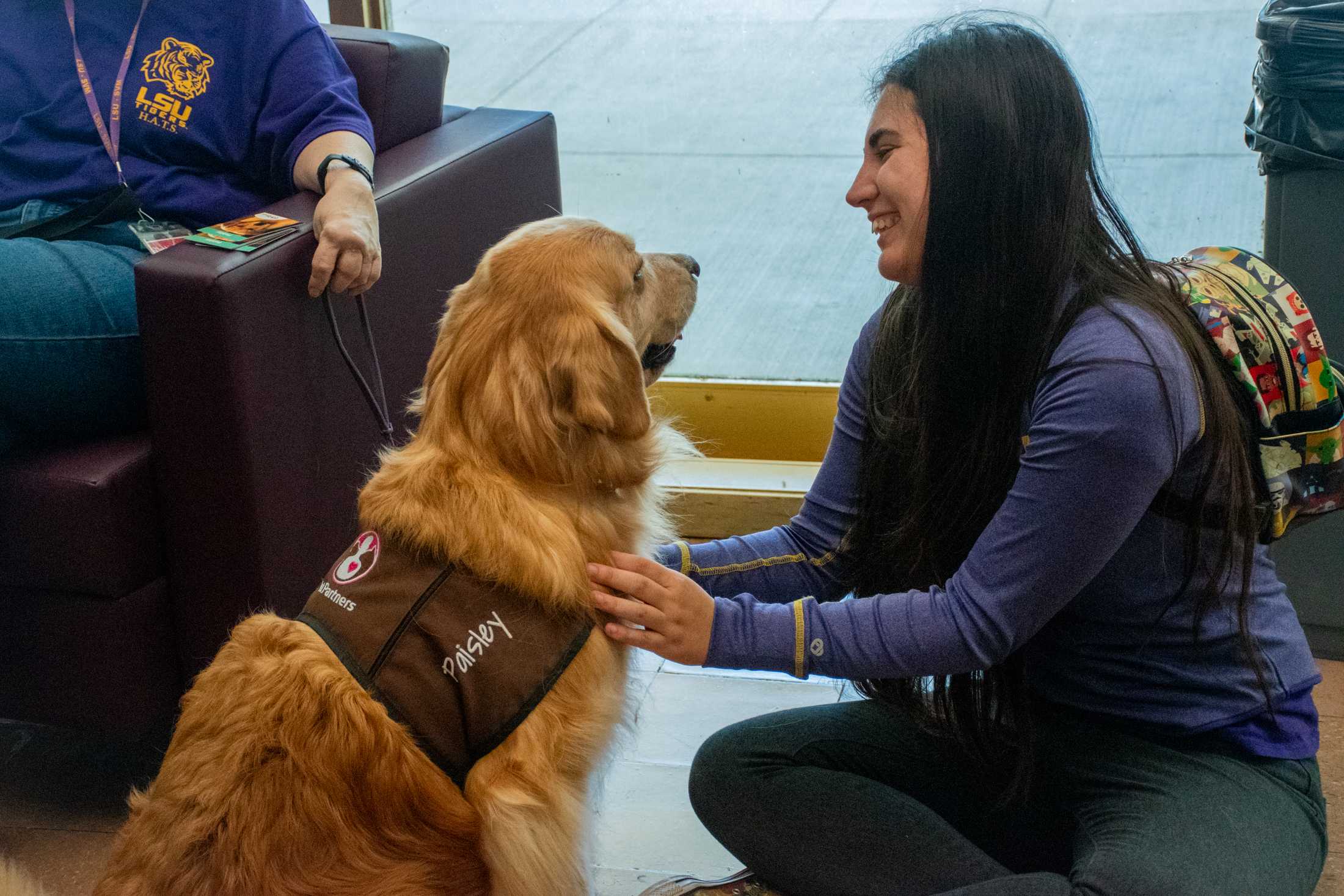 'It's a de-stress day': Therapy dogs visit LSU Library during midterms week