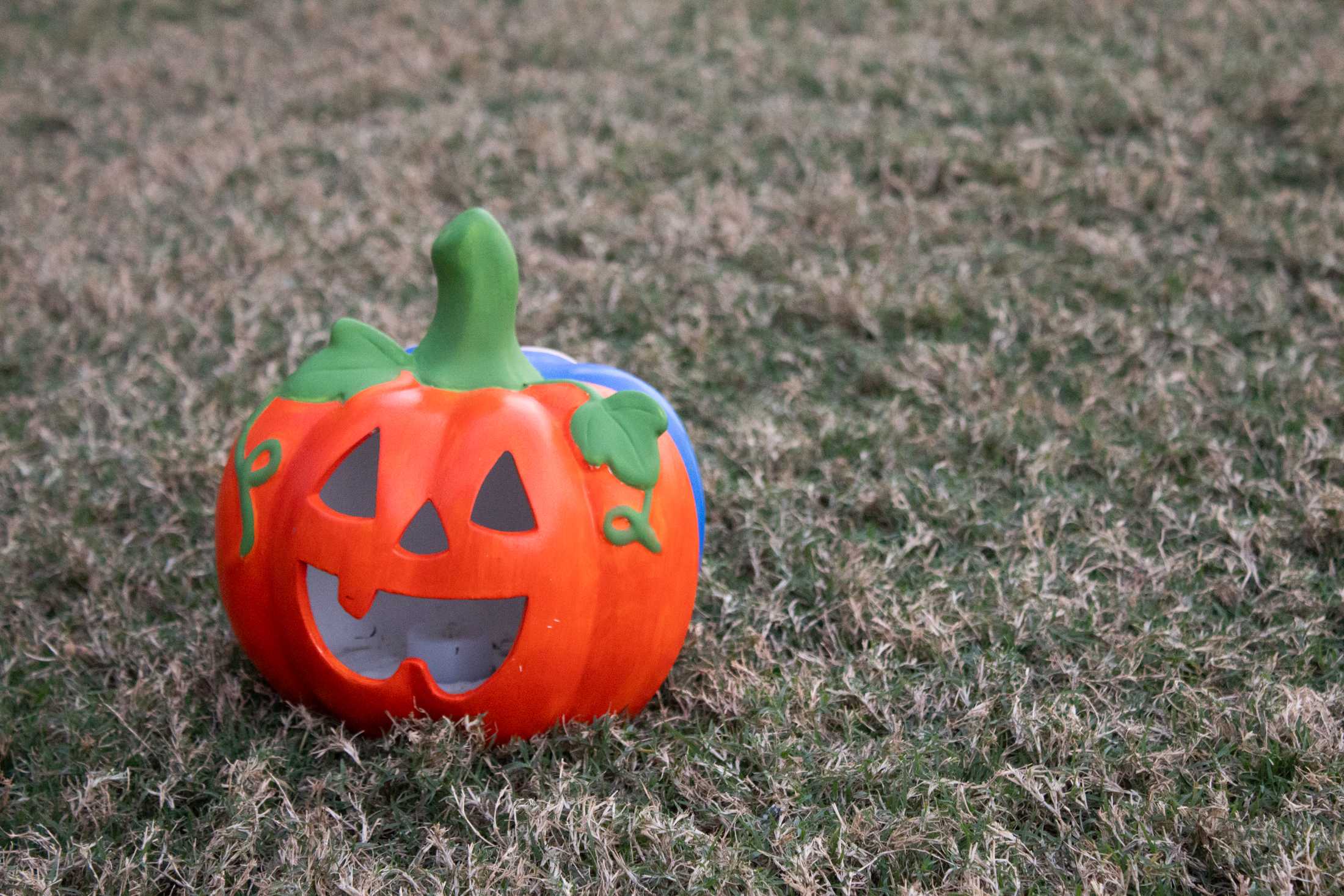 PHOTOS: LSU Habitat for Humanity hosts Halloween social on Parade Ground