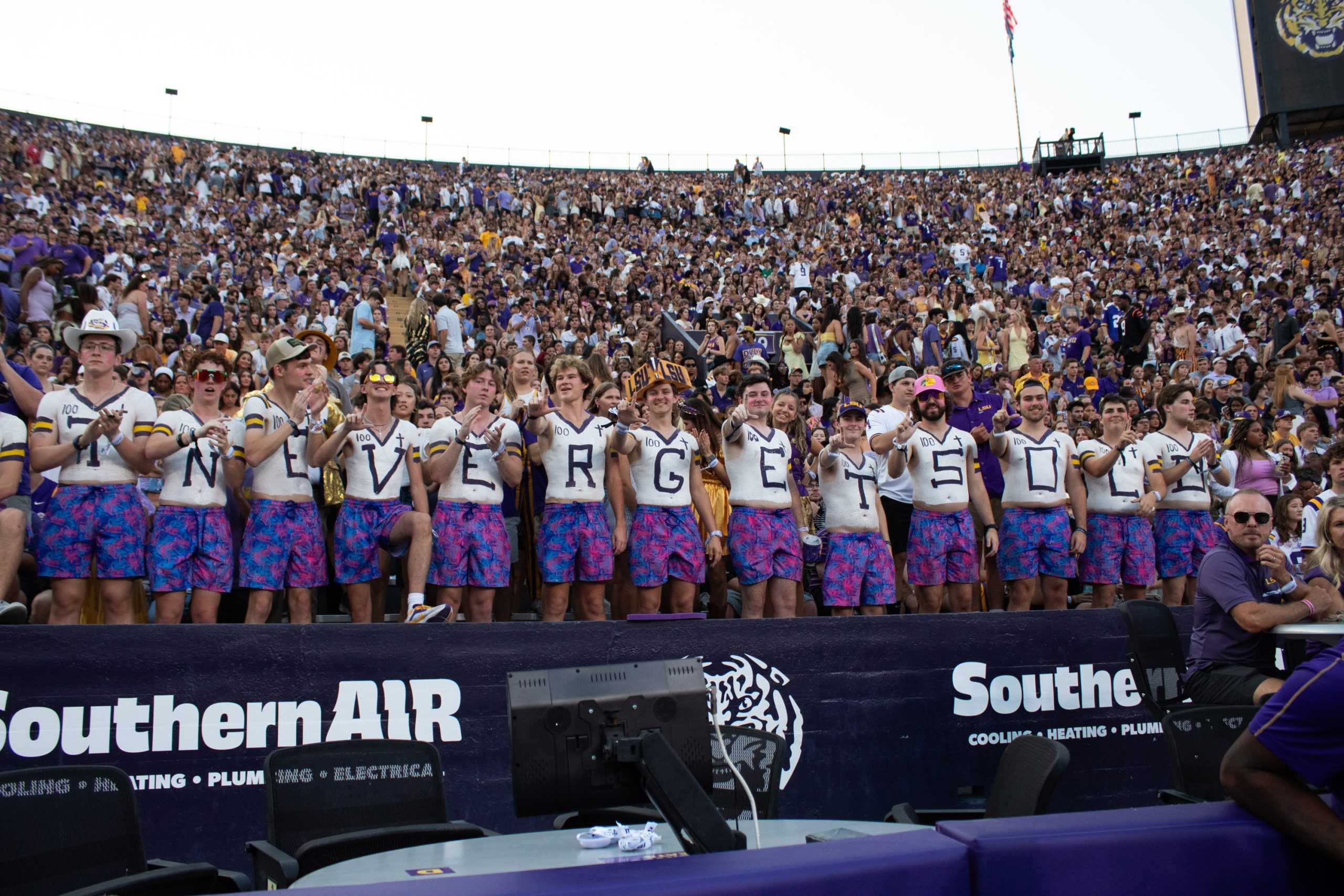 PHOTOS: LSU football defeats Ole Miss 29-26 in overtime