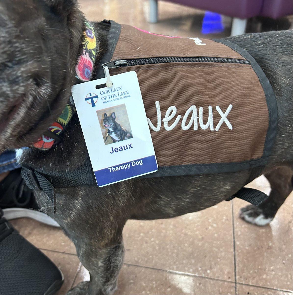 Therapy Dogs: Jeaux's Official Nametag