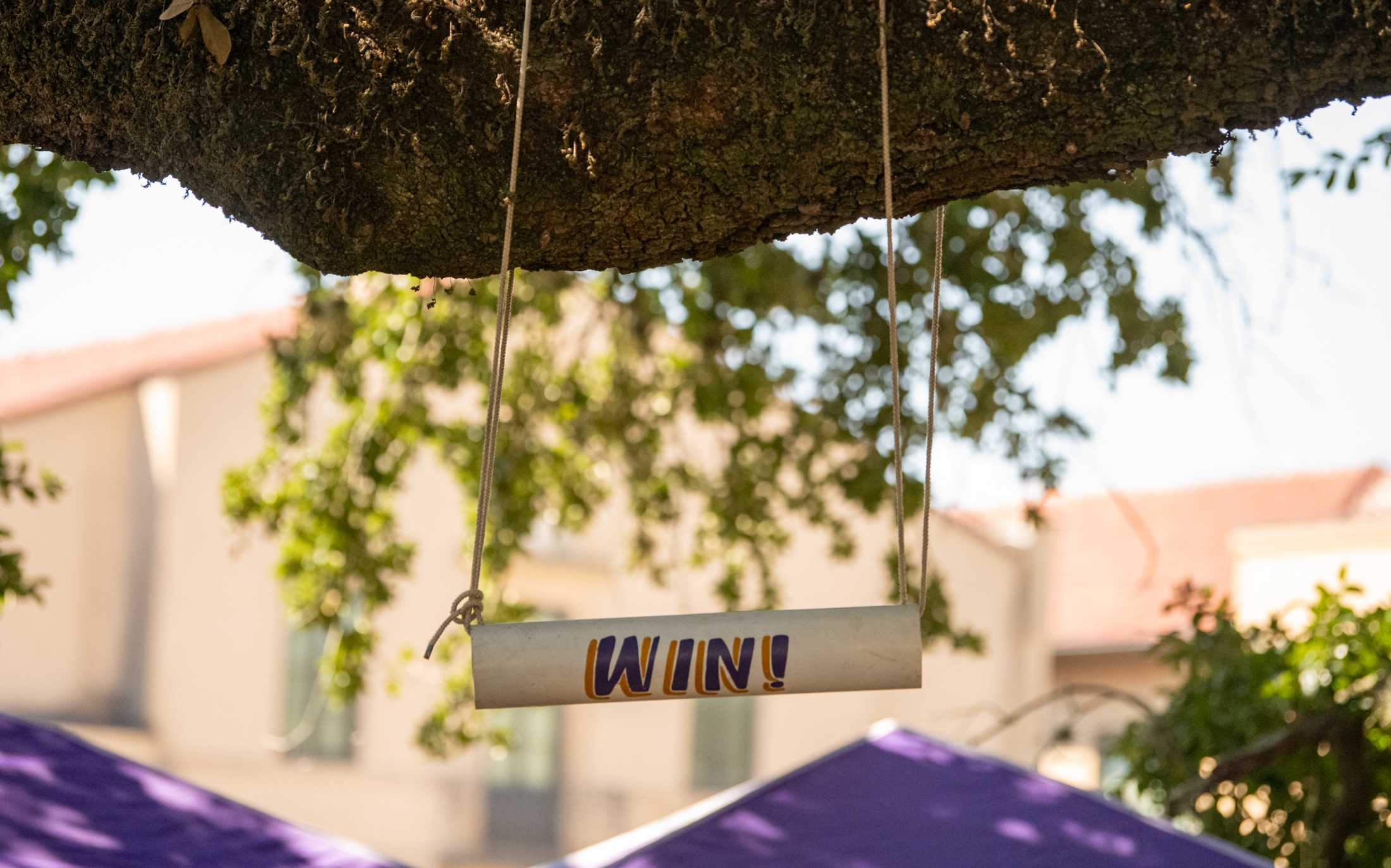 Long-time LSU tailgaters share their traditions in honor of 100 years of Tiger Stadium