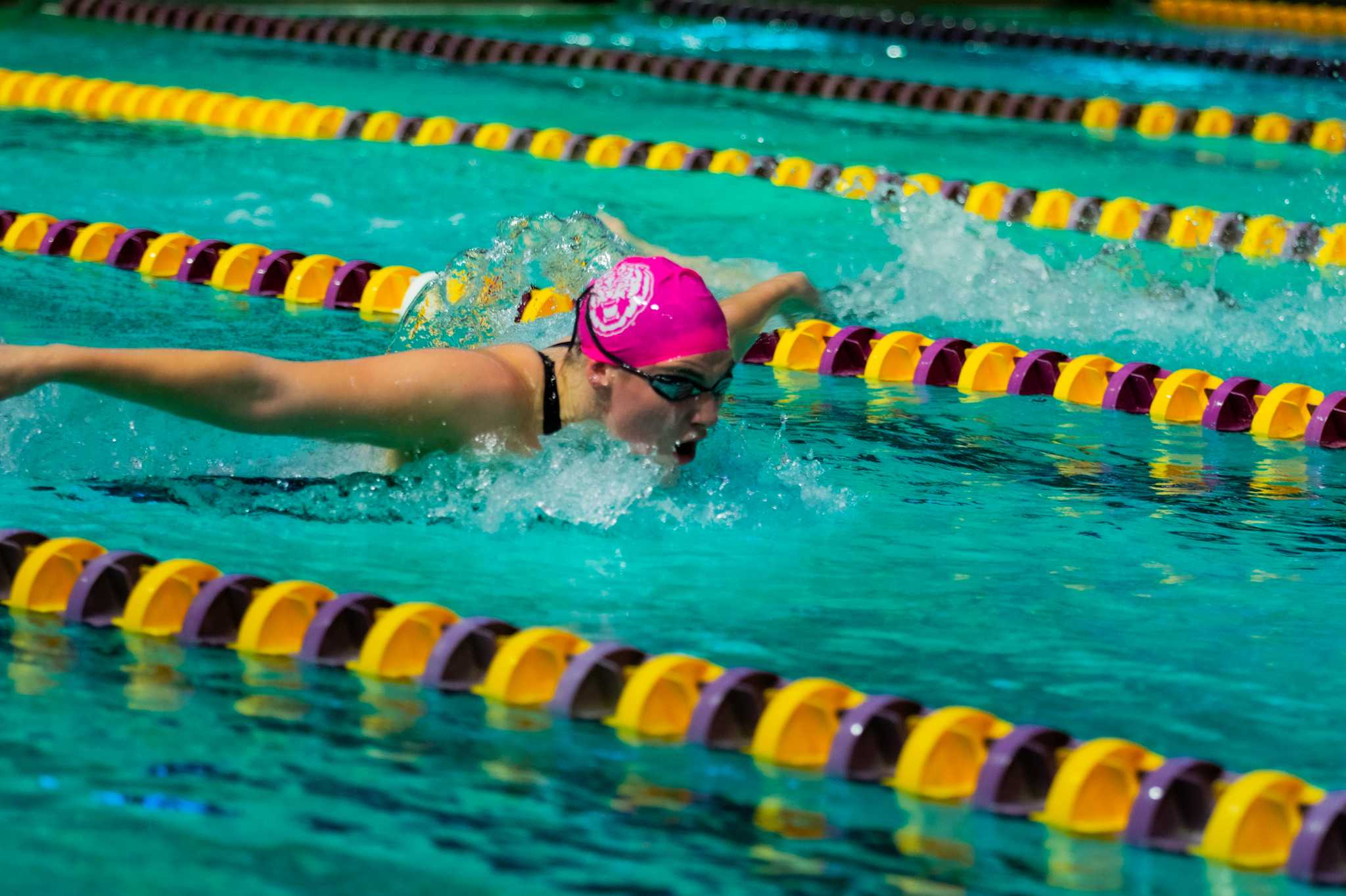 PHOTOS: LSU swim and dive falls to Texas