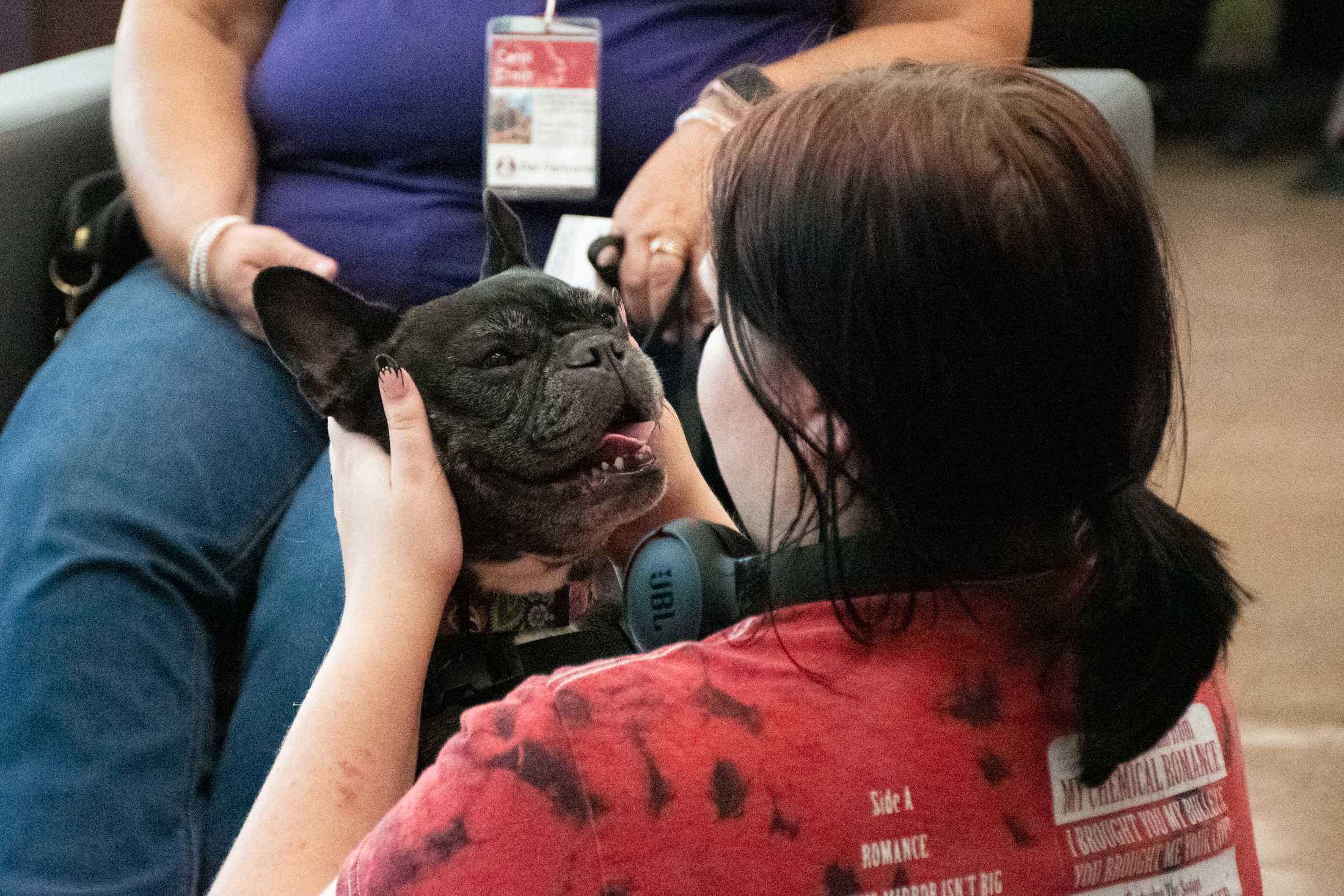 'It's a de-stress day': Therapy dogs visit LSU Library during midterms week