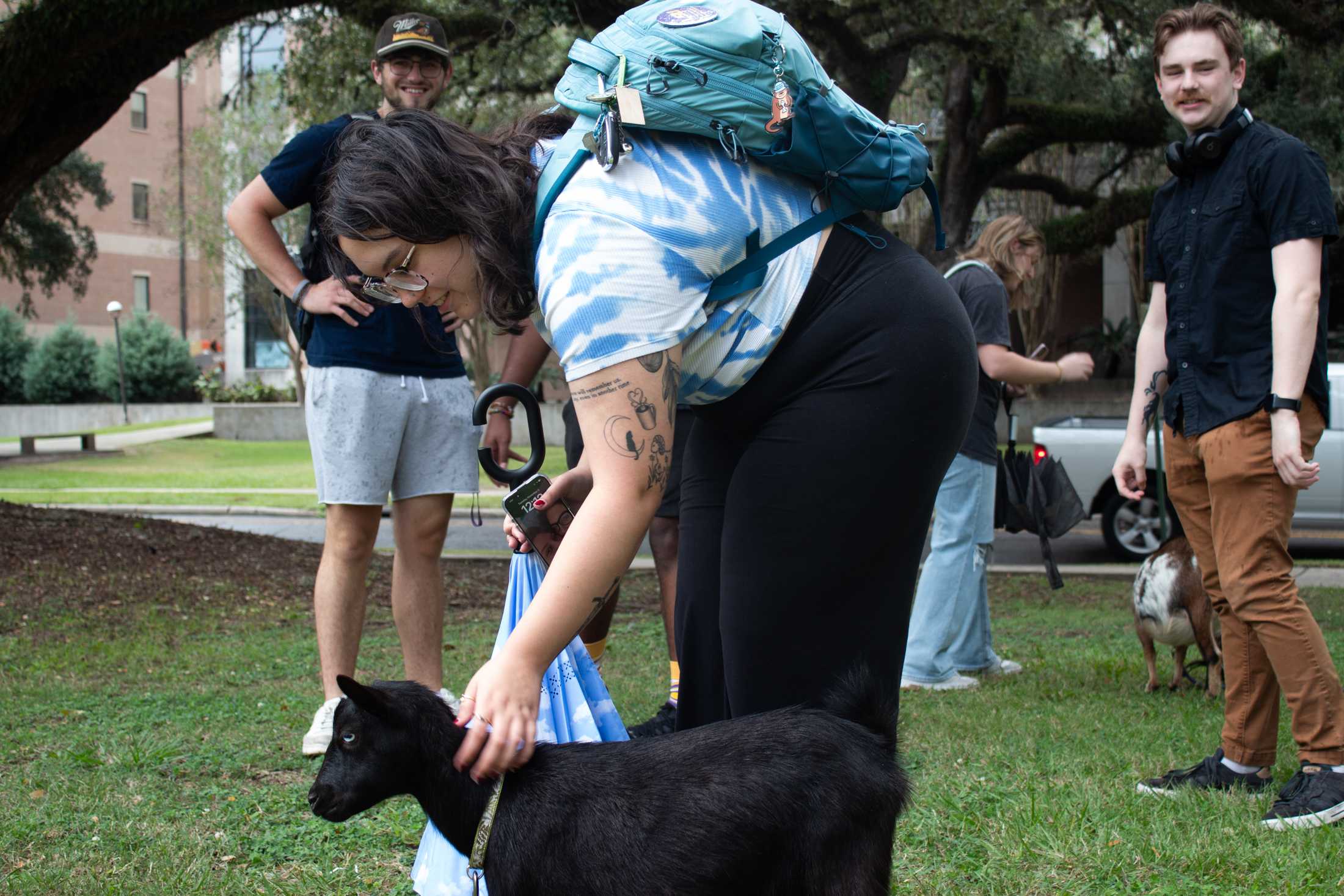 PHOTOS: Goats and Votes