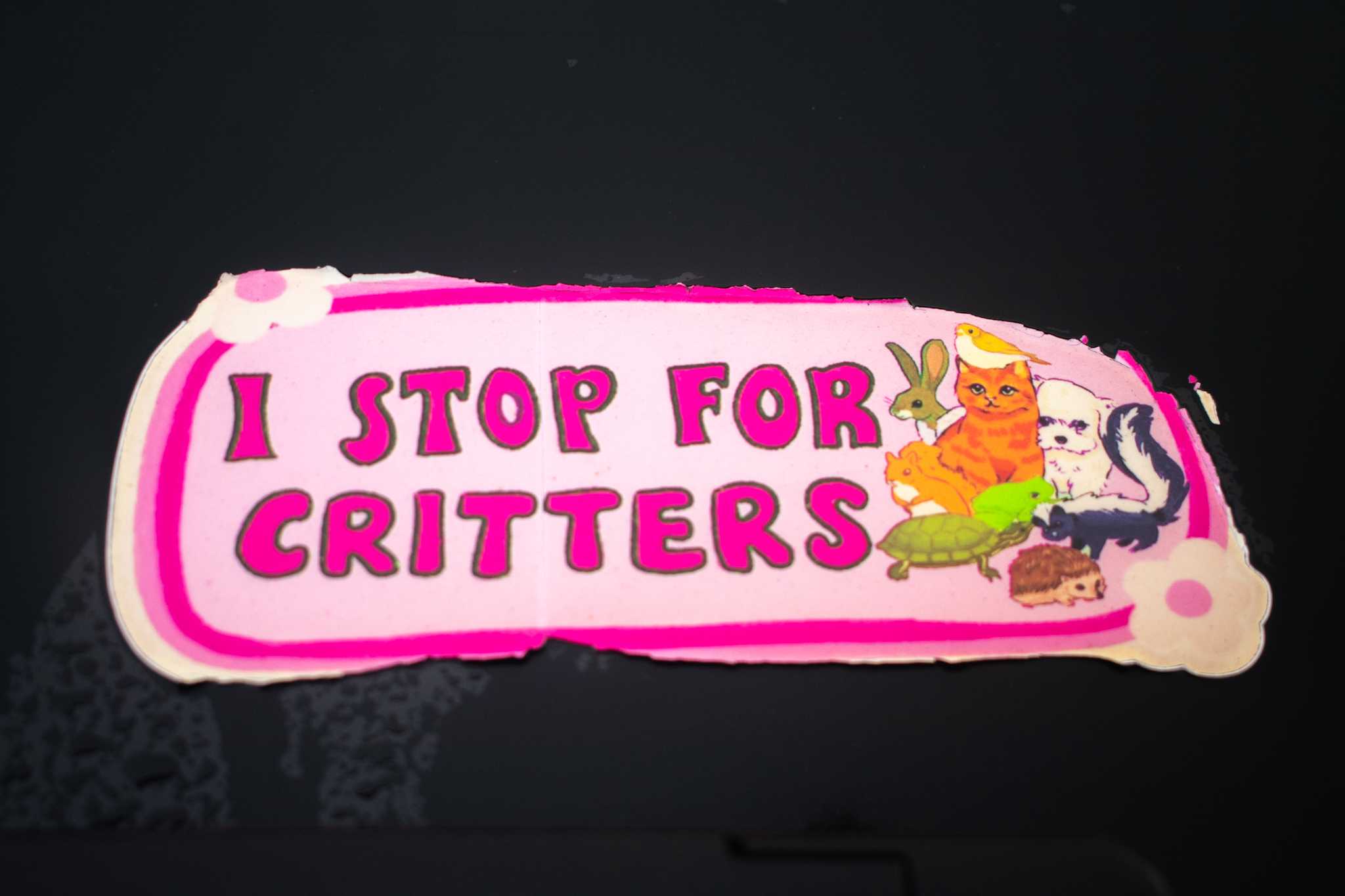 PHOTOS: Best bumper stickers around campus