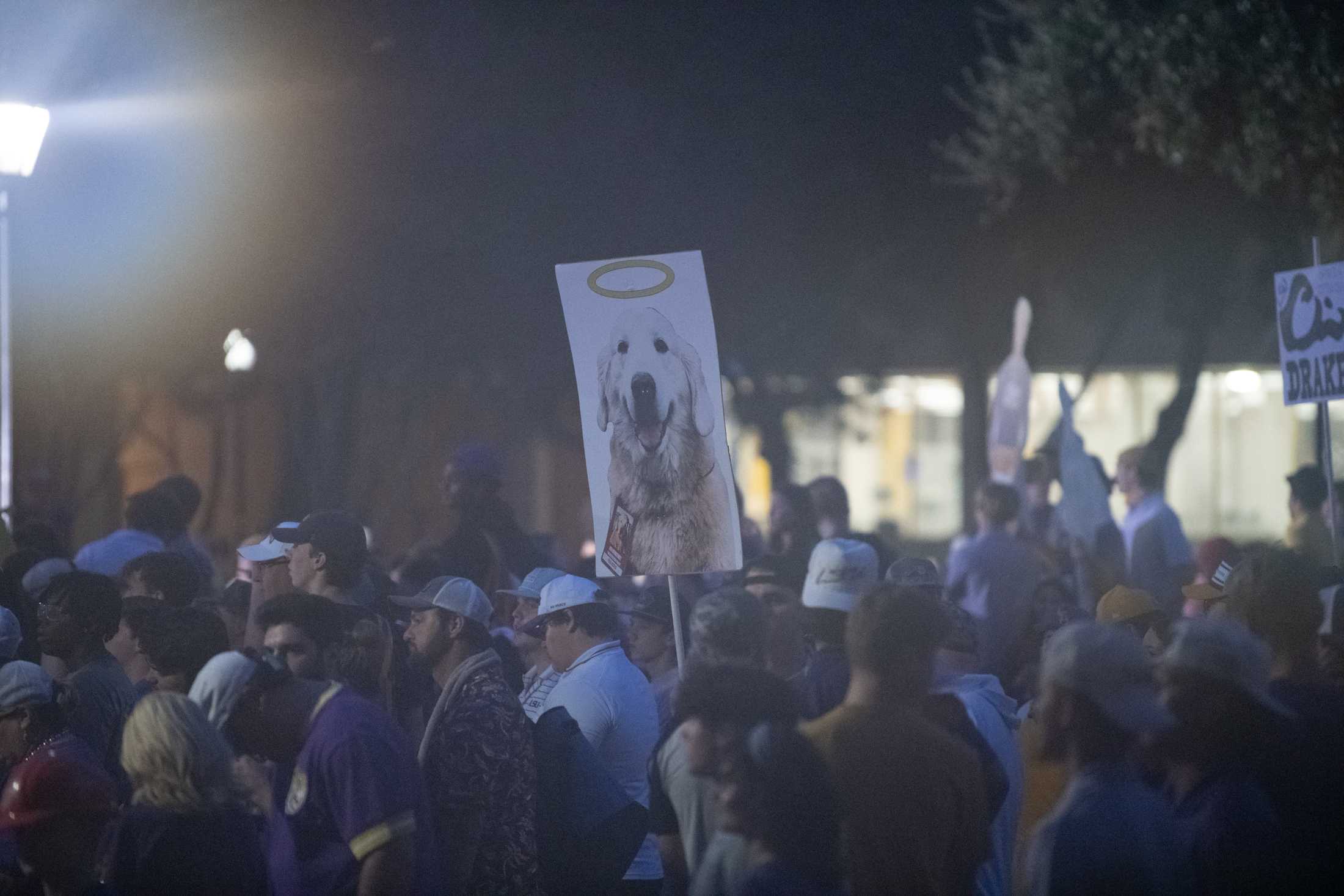 PHOTOS: See our favorite signs from College GameDay in Baton Rouge