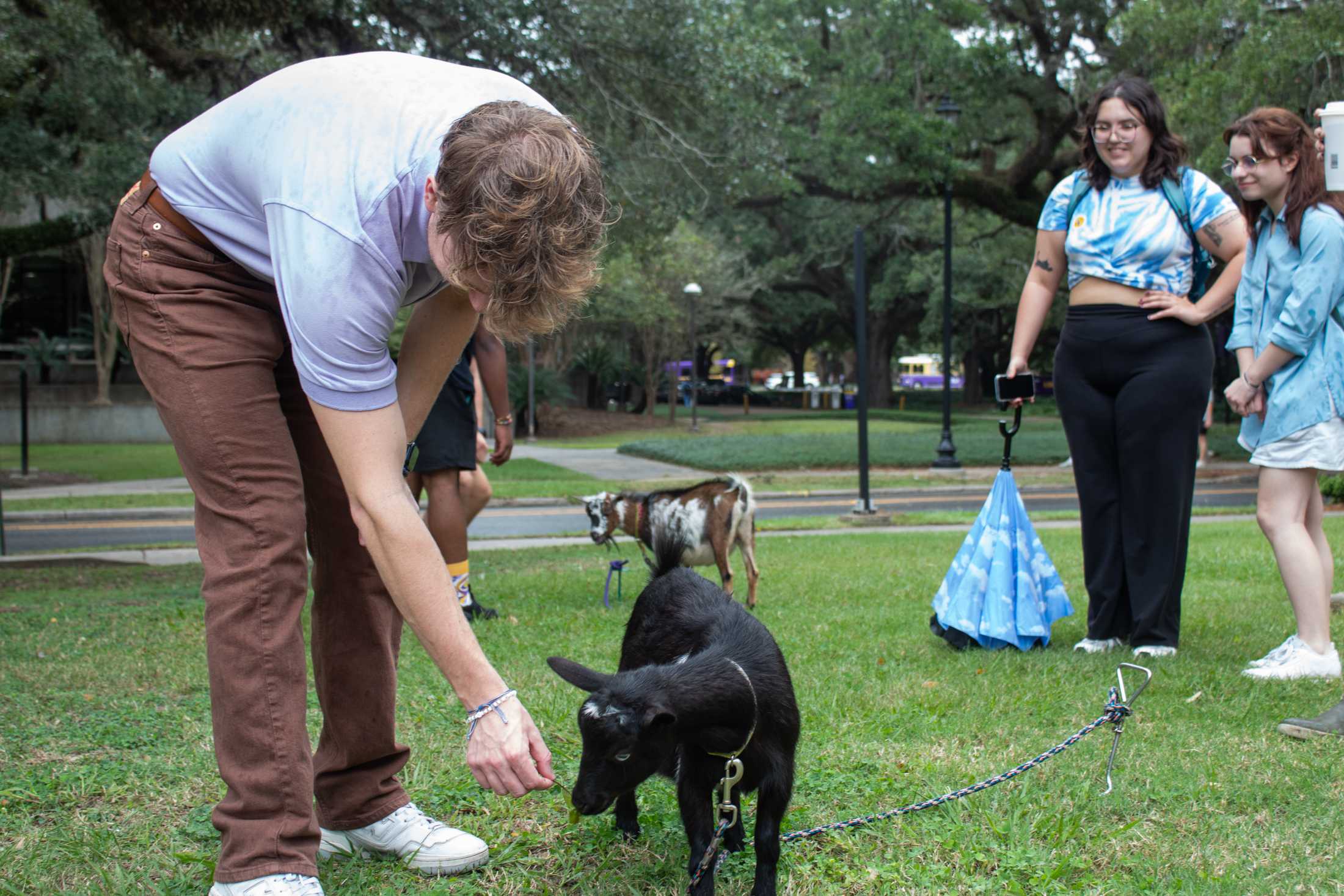 PHOTOS: Goats and Votes