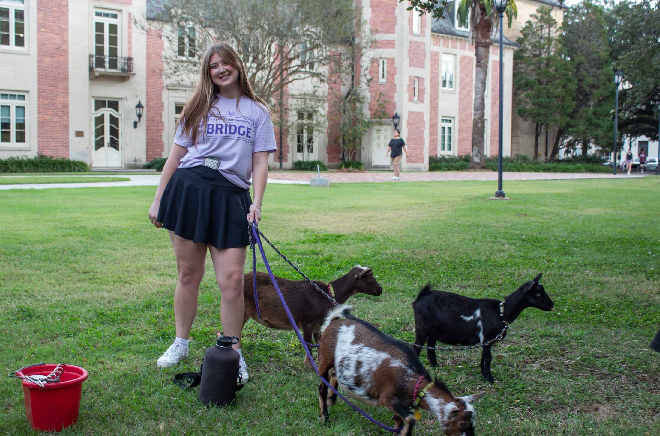 PHOTOS: Goats and Votes