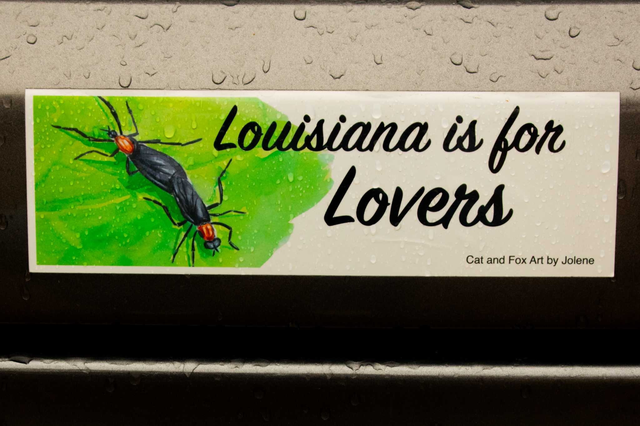 PHOTOS: Best bumper stickers around campus