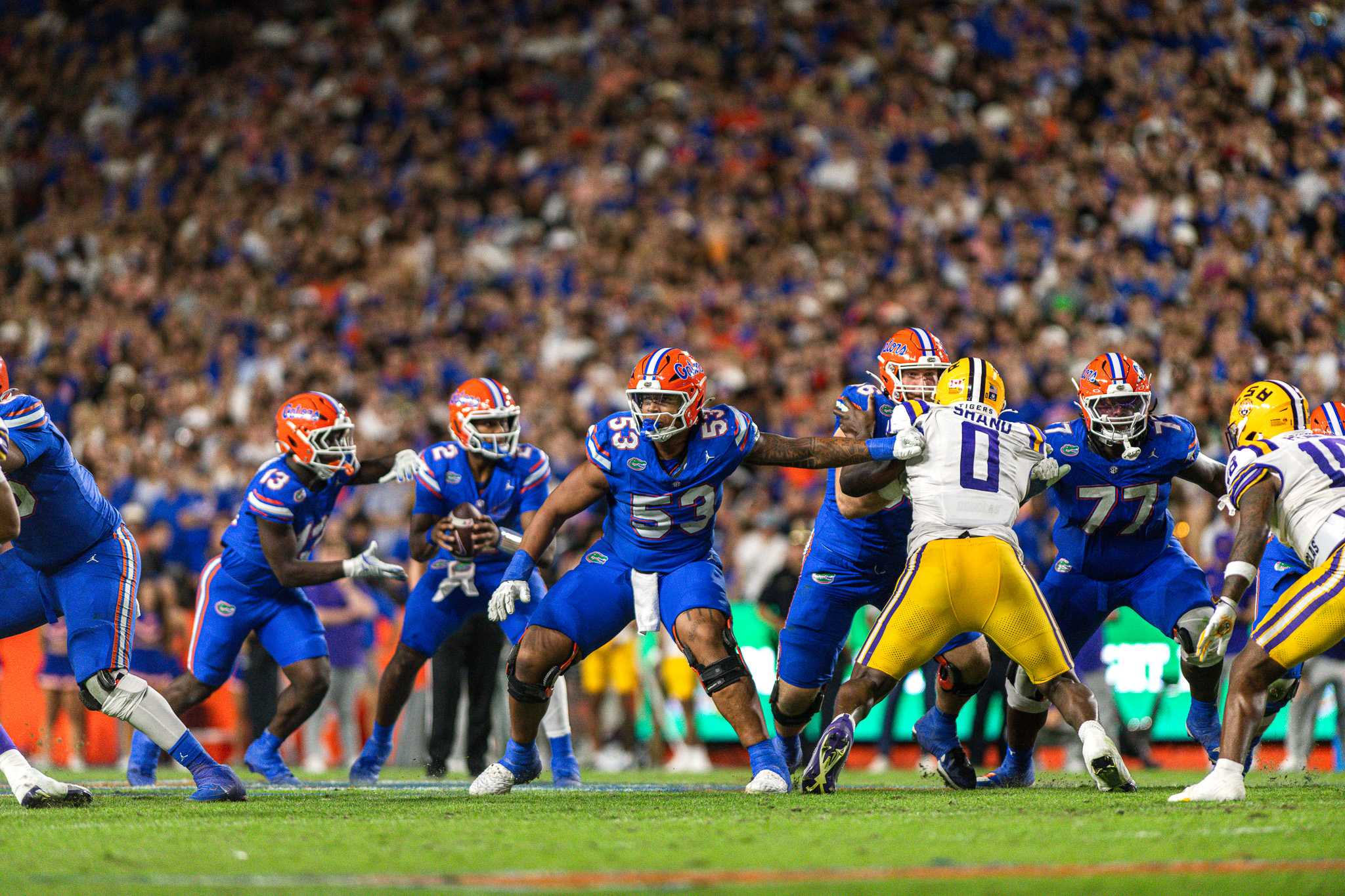 PHOTOS: LSU football falls to Florida in third straight loss