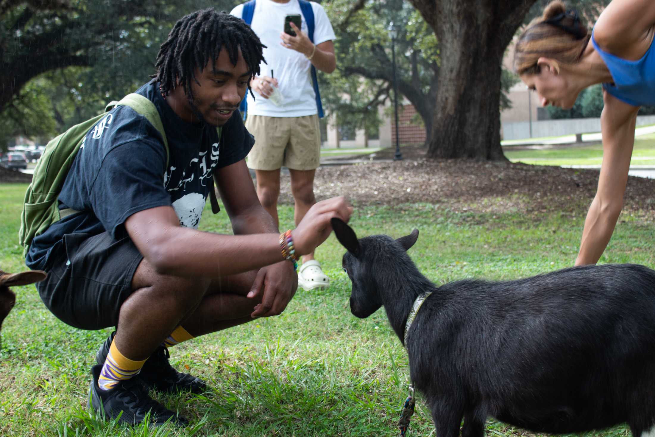 PHOTOS: Goats and Votes