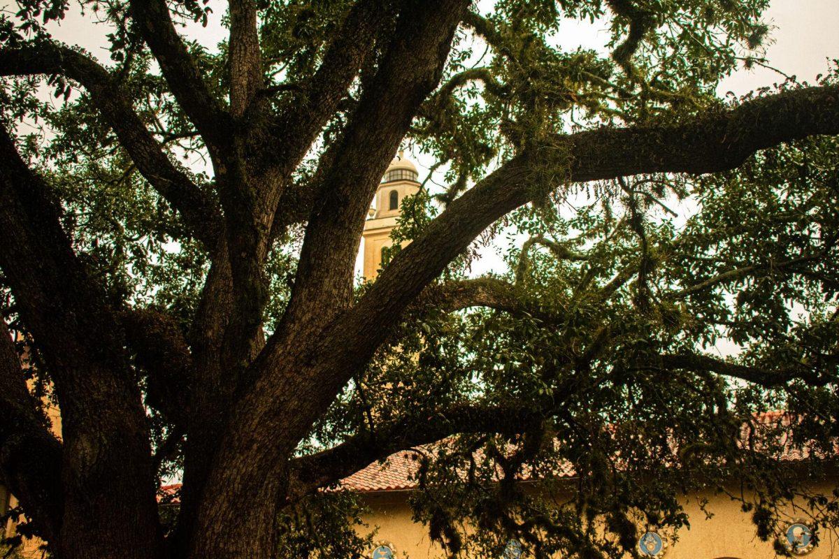 LSU Successfully Reaffirms Accreditation