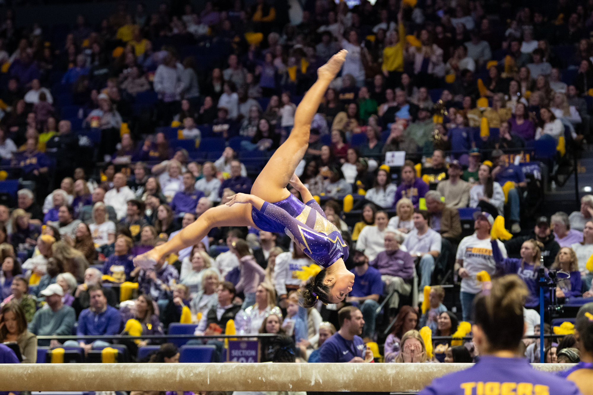 PHOTOS: LSU gymnastics defeats Florida in SEC home opener