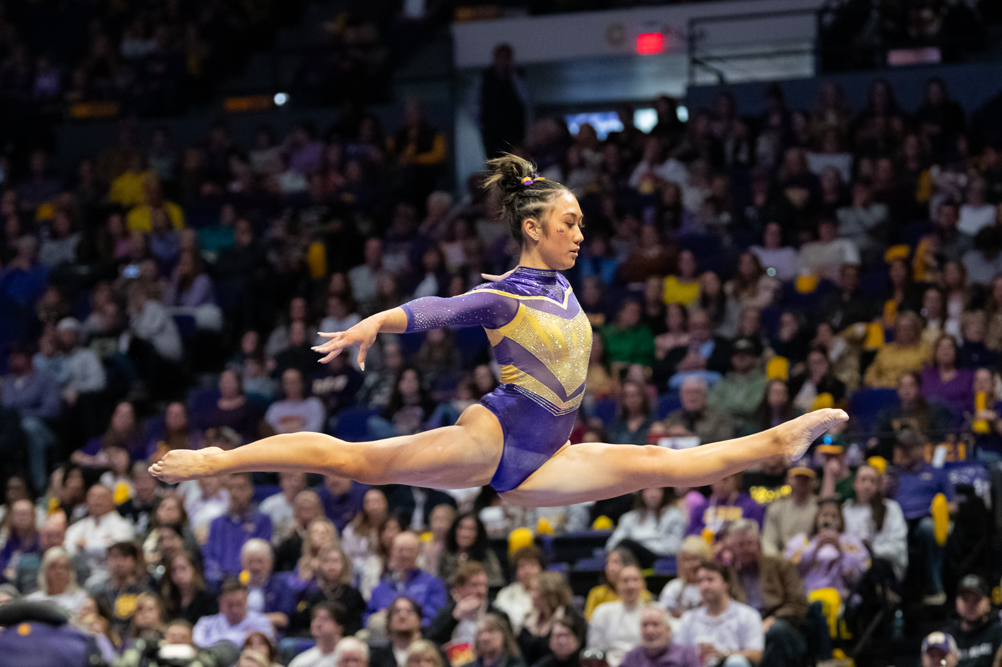 PHOTOS: LSU gymnastics defeats Florida in SEC home opener