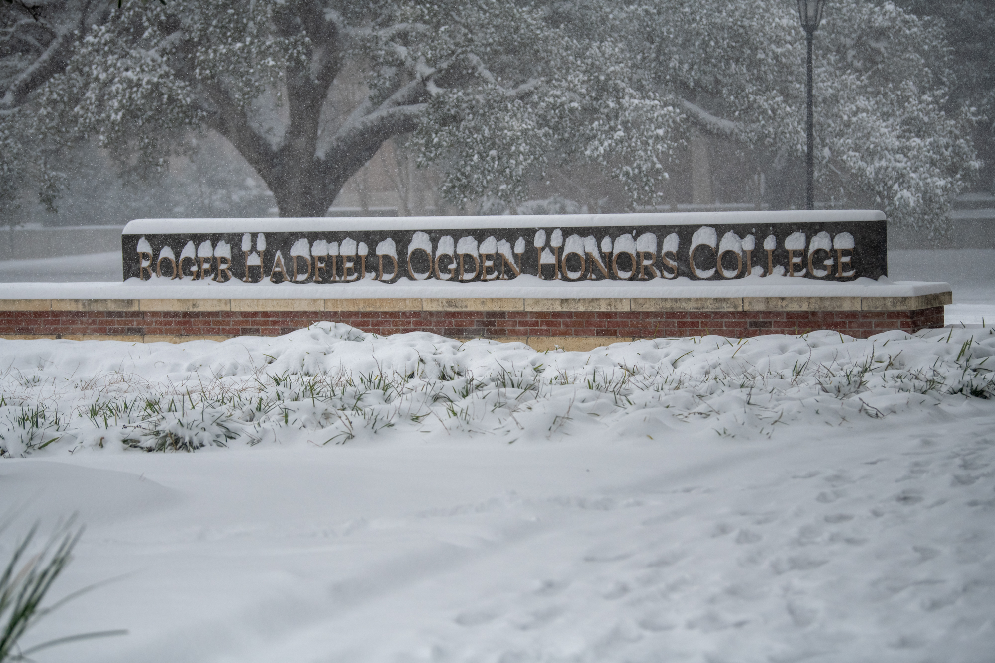 PHOTOS: LSU students enjoy rare snow day