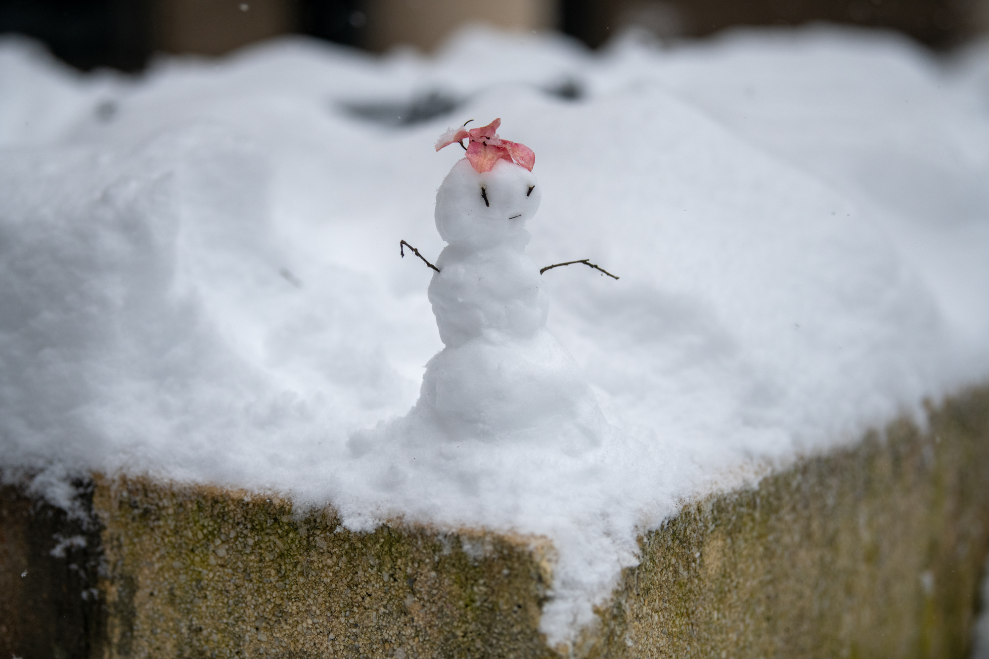 PHOTOS: LSU students enjoy rare snow day