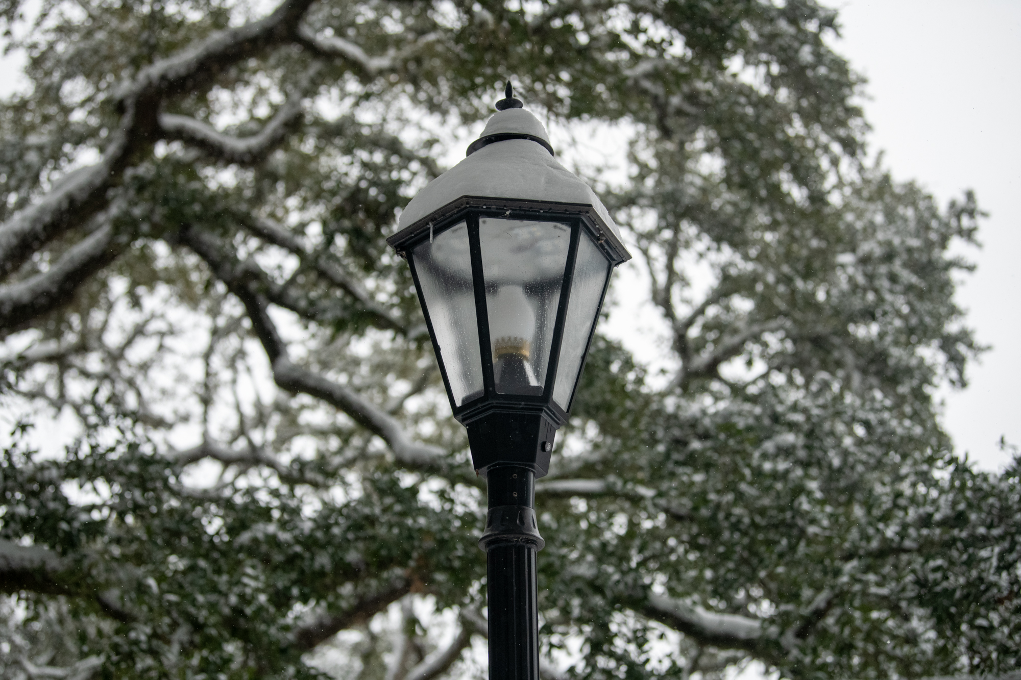 PHOTOS: LSU students enjoy rare snow day