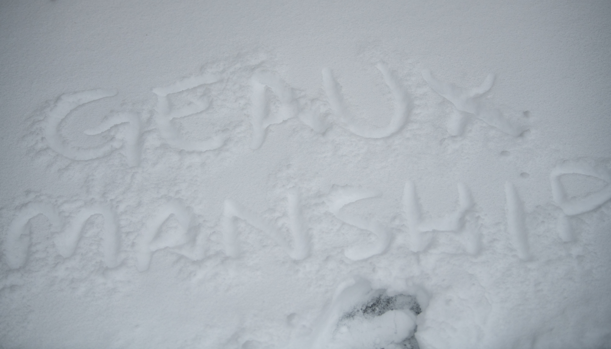 PHOTOS: LSU students enjoy rare snow day