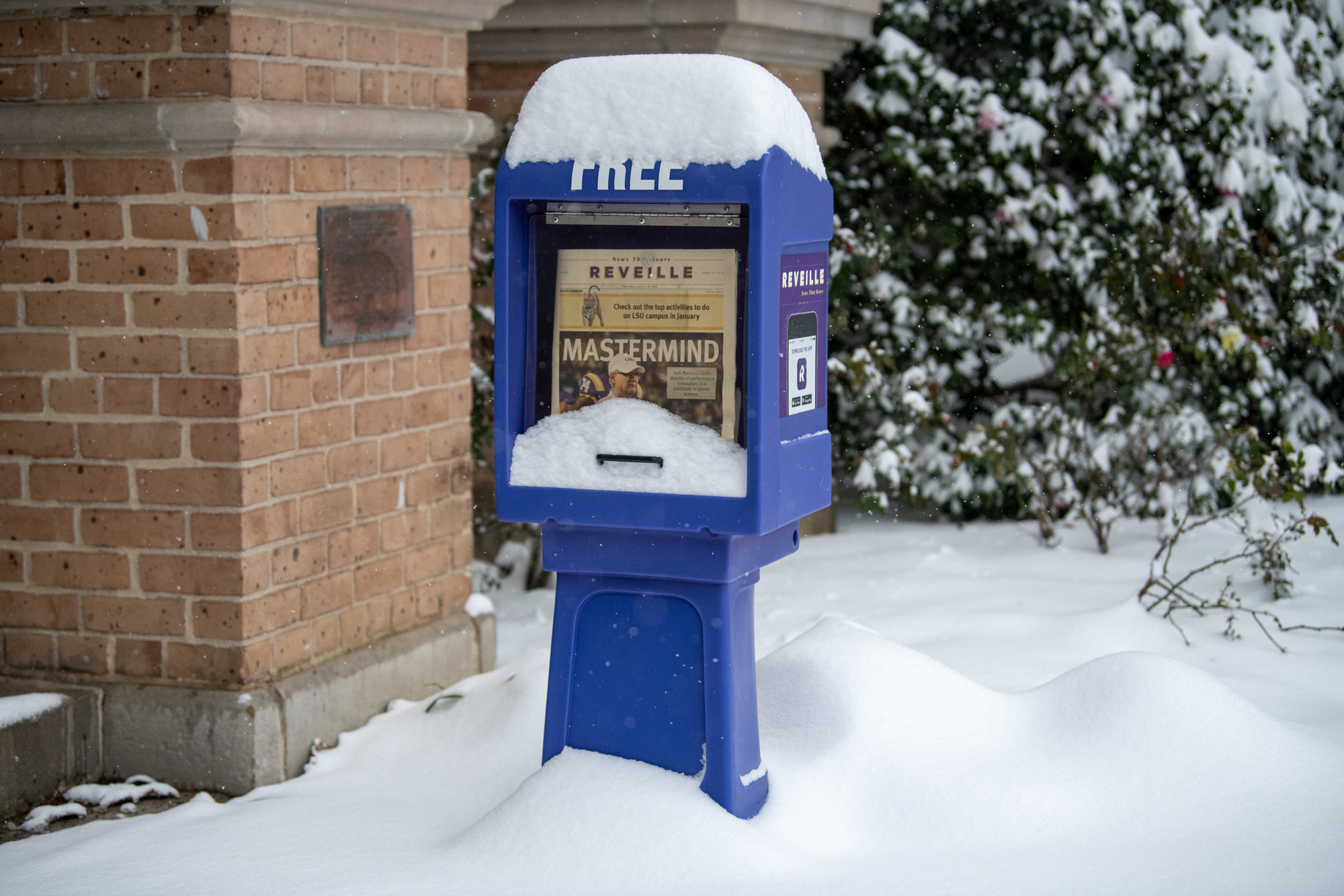 PHOTOS: LSU students enjoy rare snow day