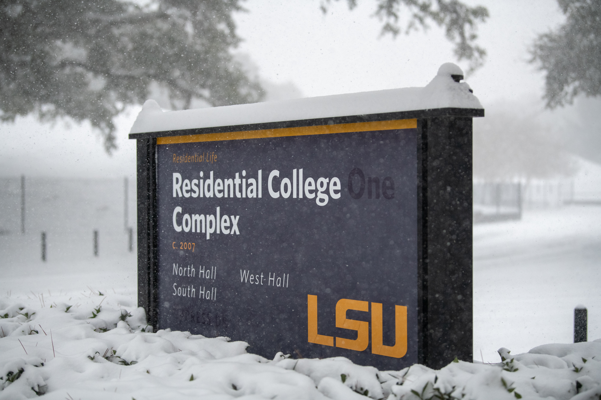 PHOTOS: LSU students enjoy rare snow day