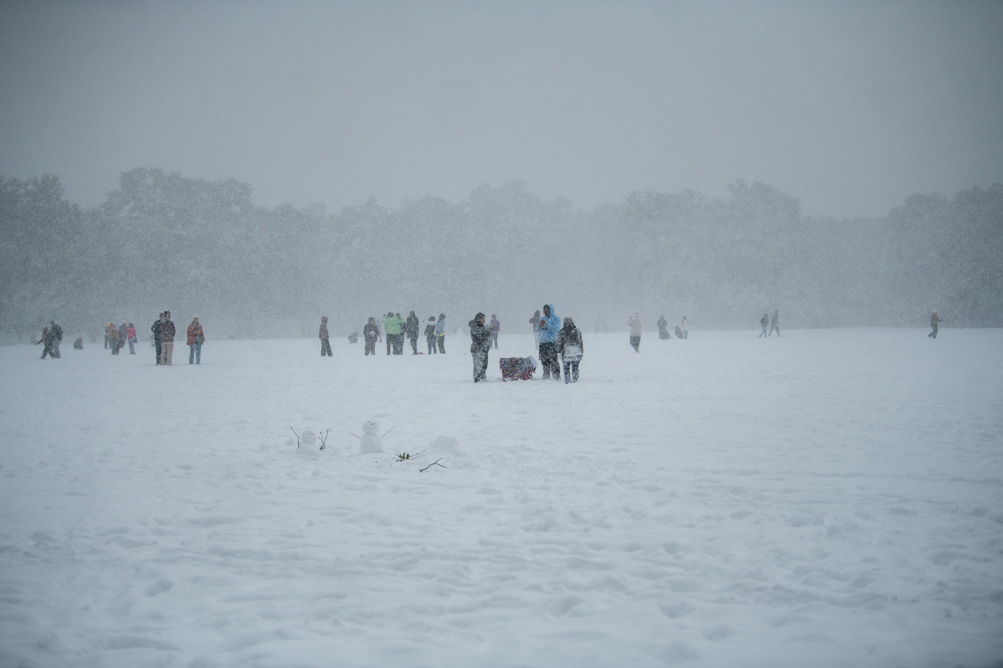 PHOTOS: LSU students enjoy rare snow day