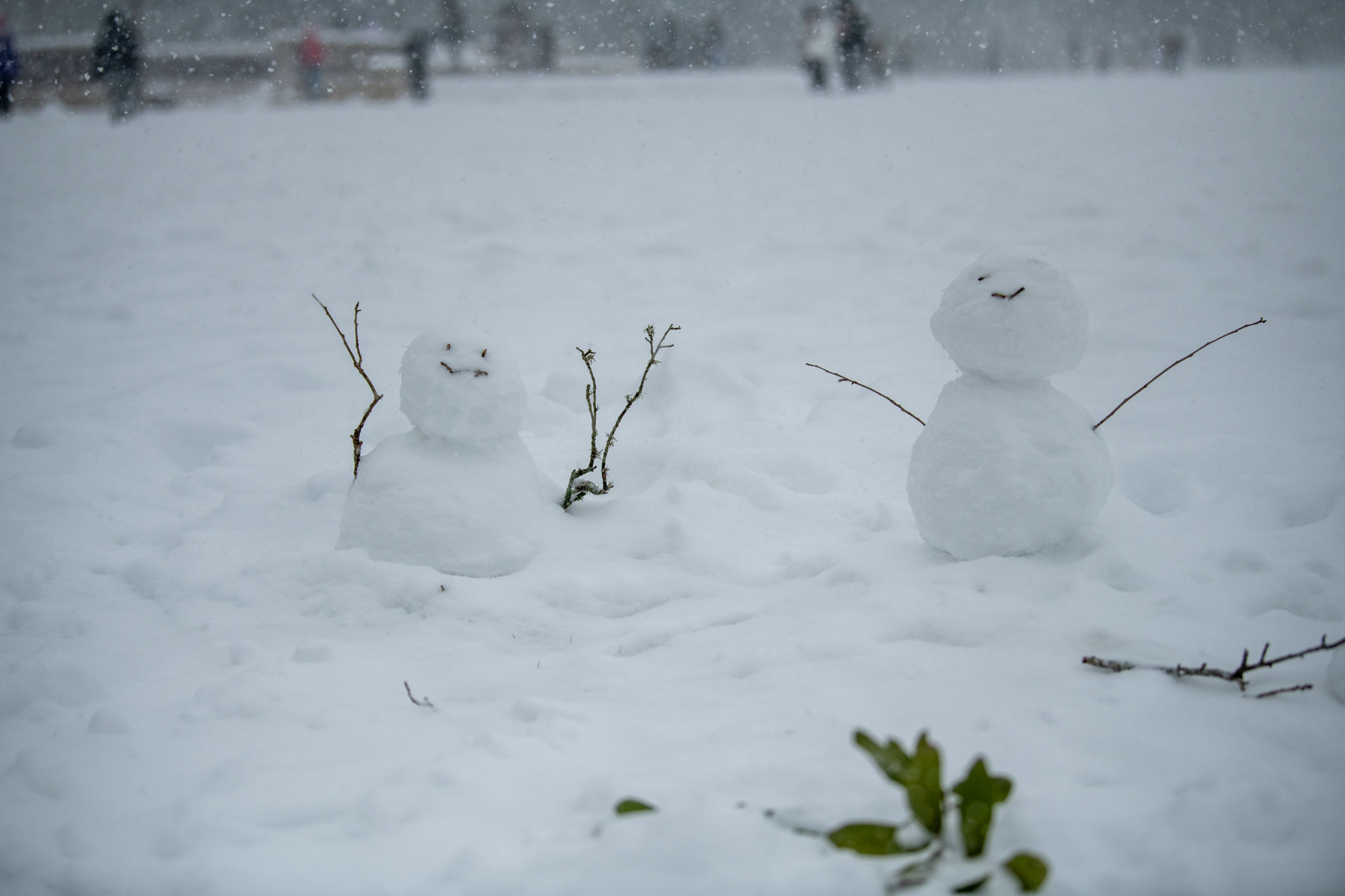 PHOTOS: LSU students enjoy rare snow day