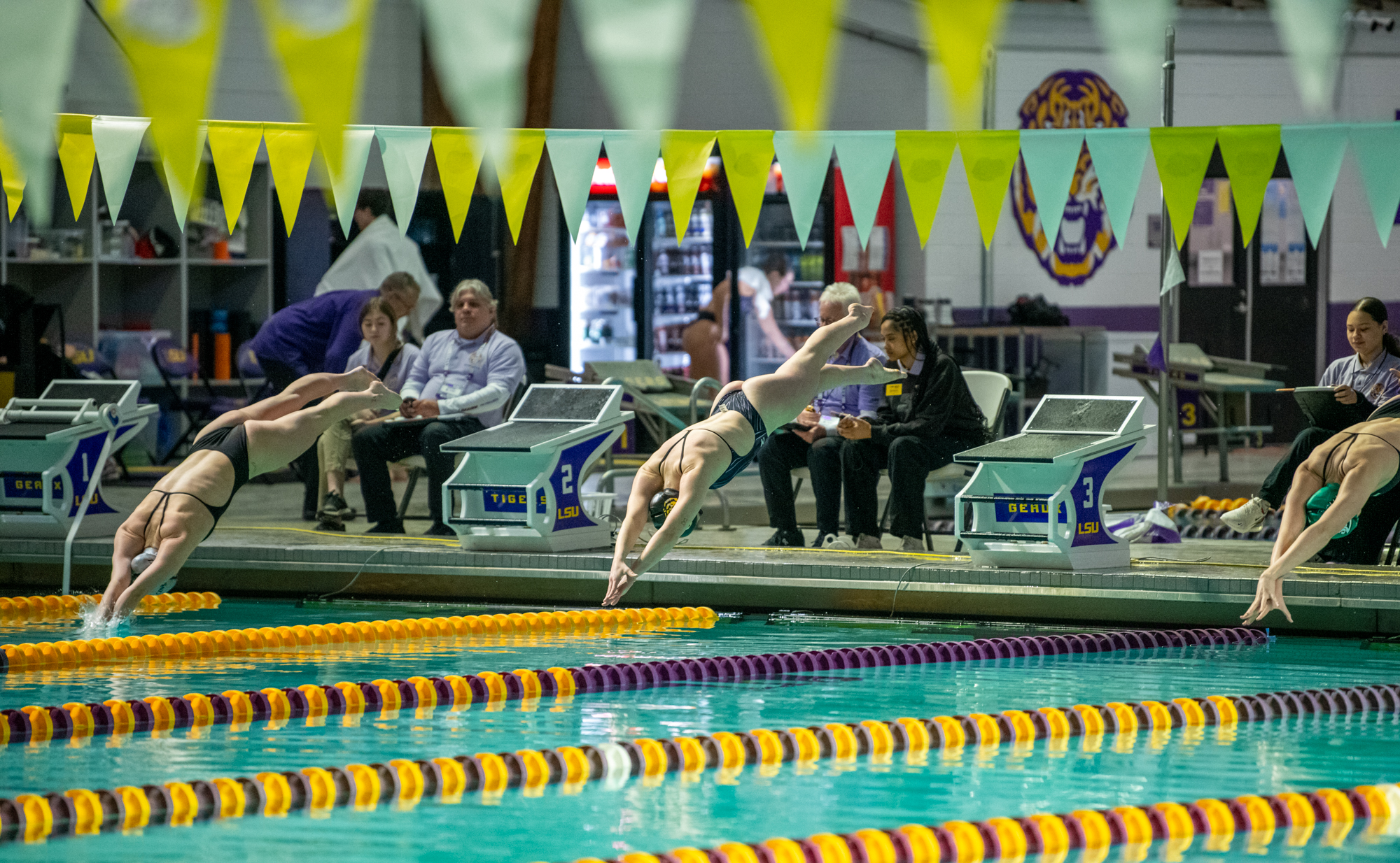 PHOTOS: LSU swimming and diving wins on senior day