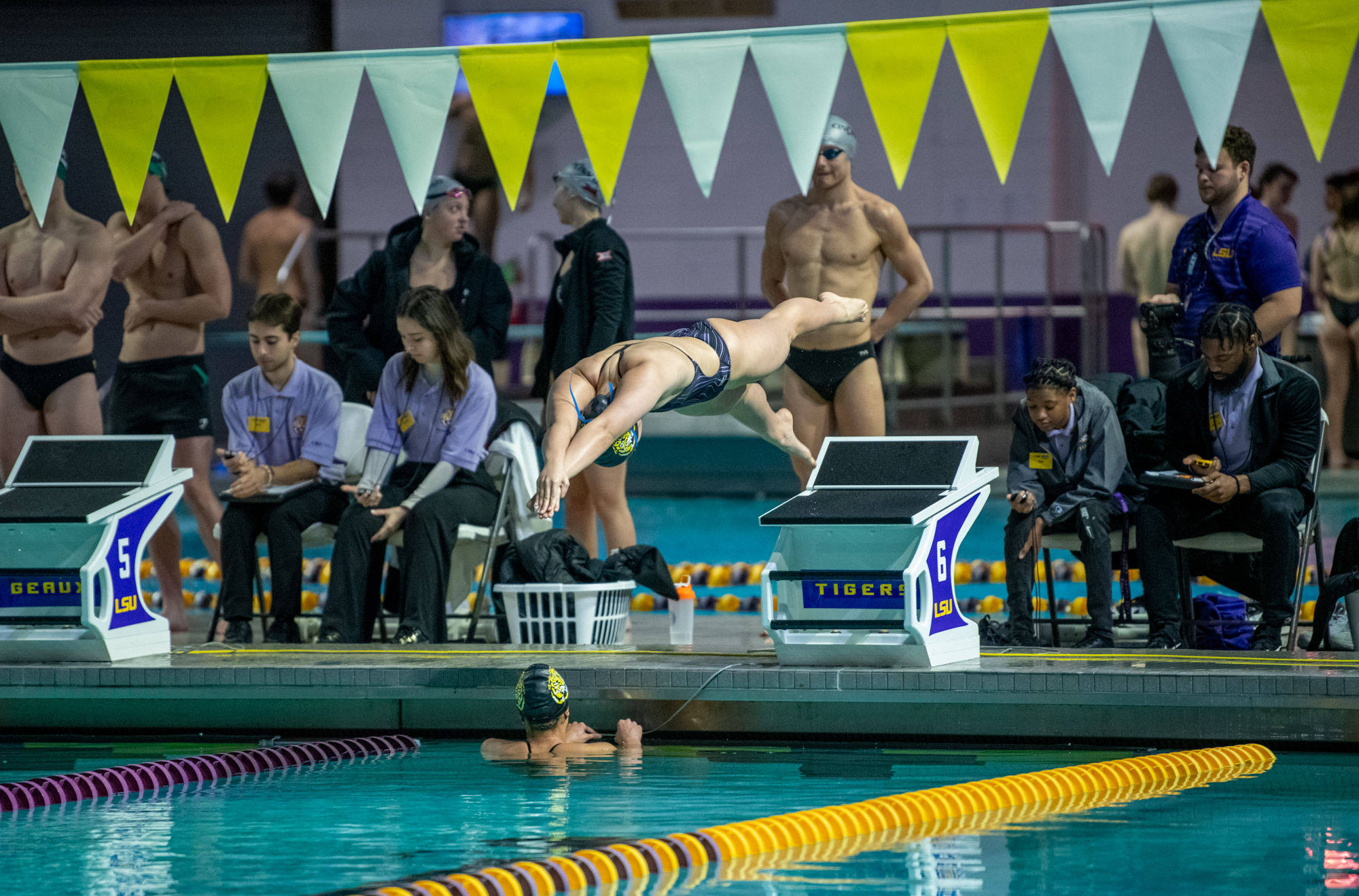 PHOTOS: LSU swimming and diving wins on senior day