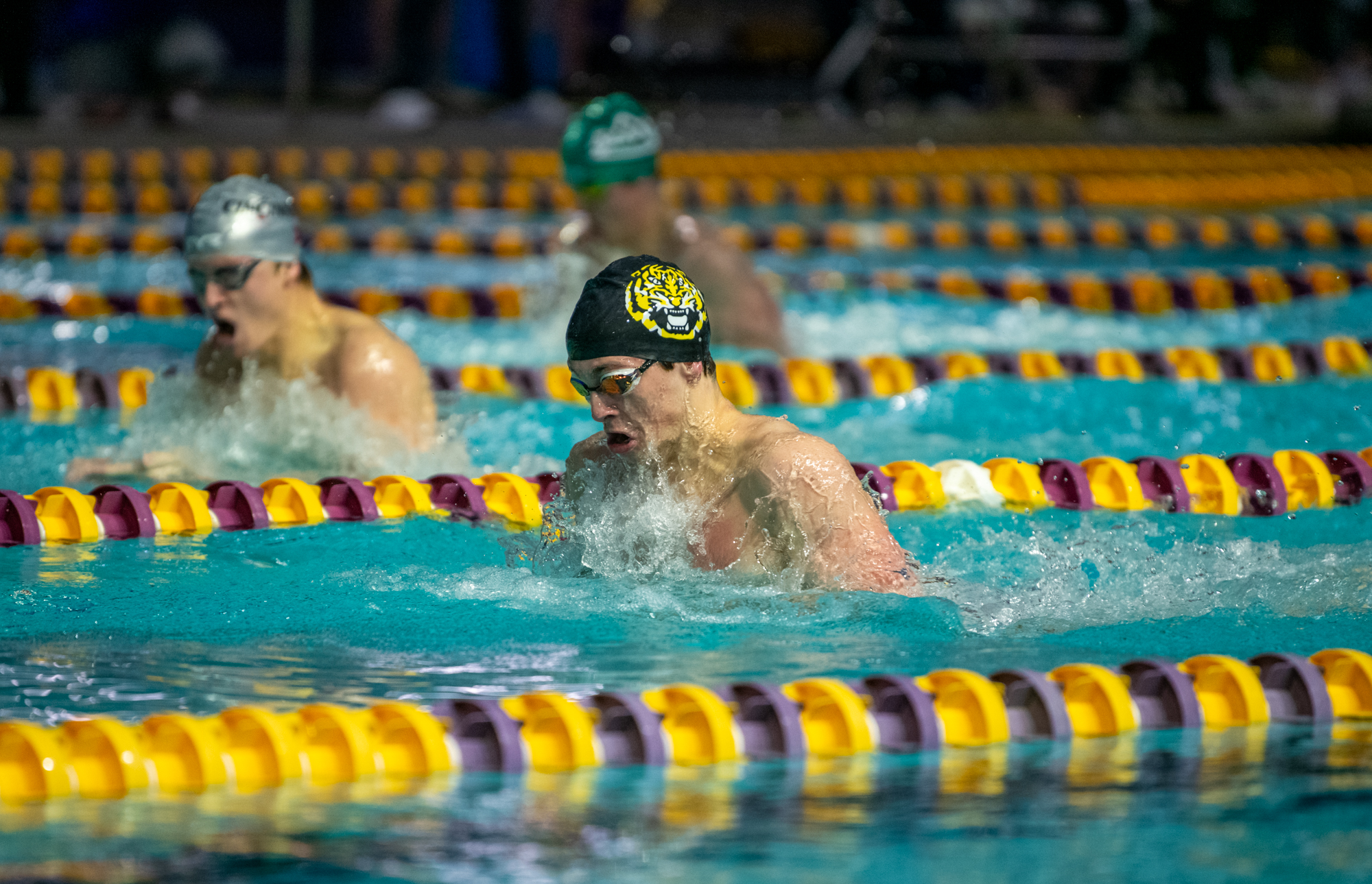 PHOTOS: LSU swimming and diving wins on senior day