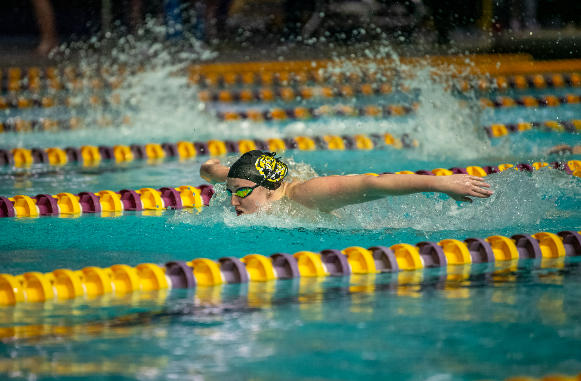 PHOTOS: LSU swimming and diving wins on senior day