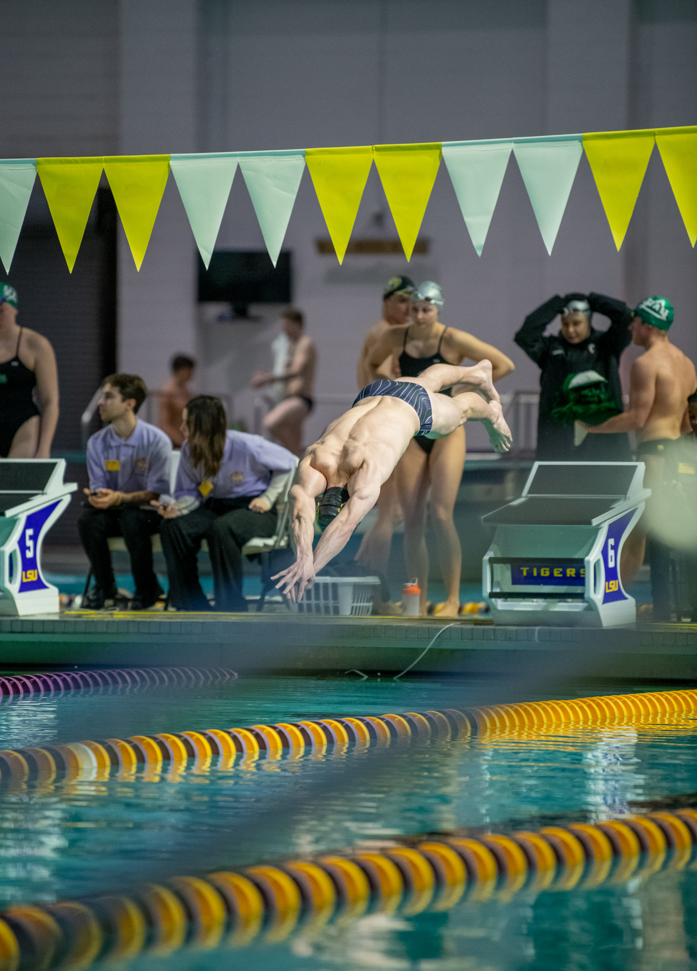 PHOTOS: LSU swimming and diving wins on senior day