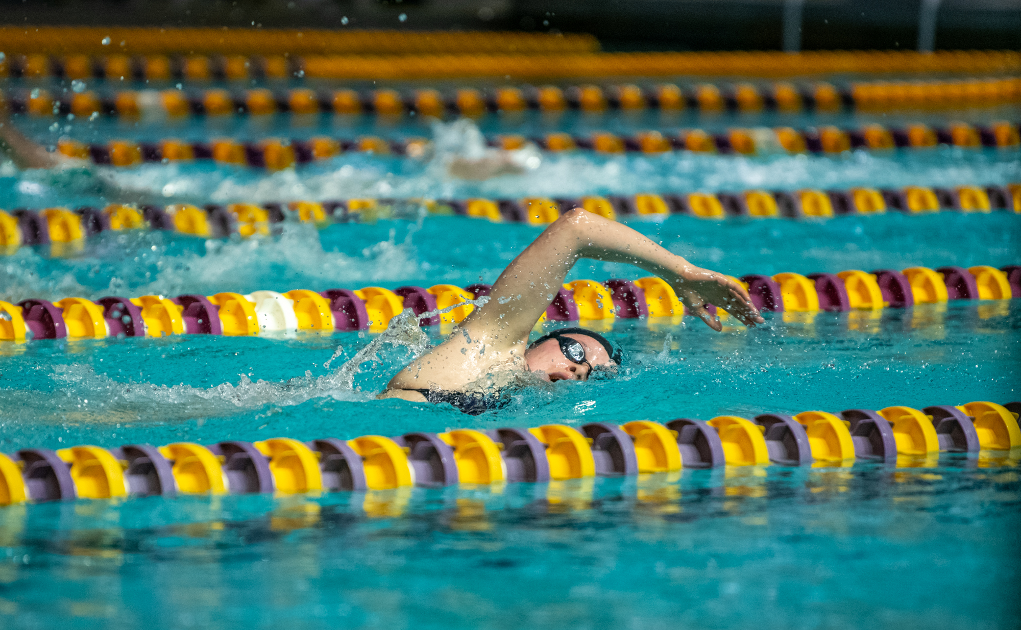 PHOTOS: LSU swimming and diving wins on senior day