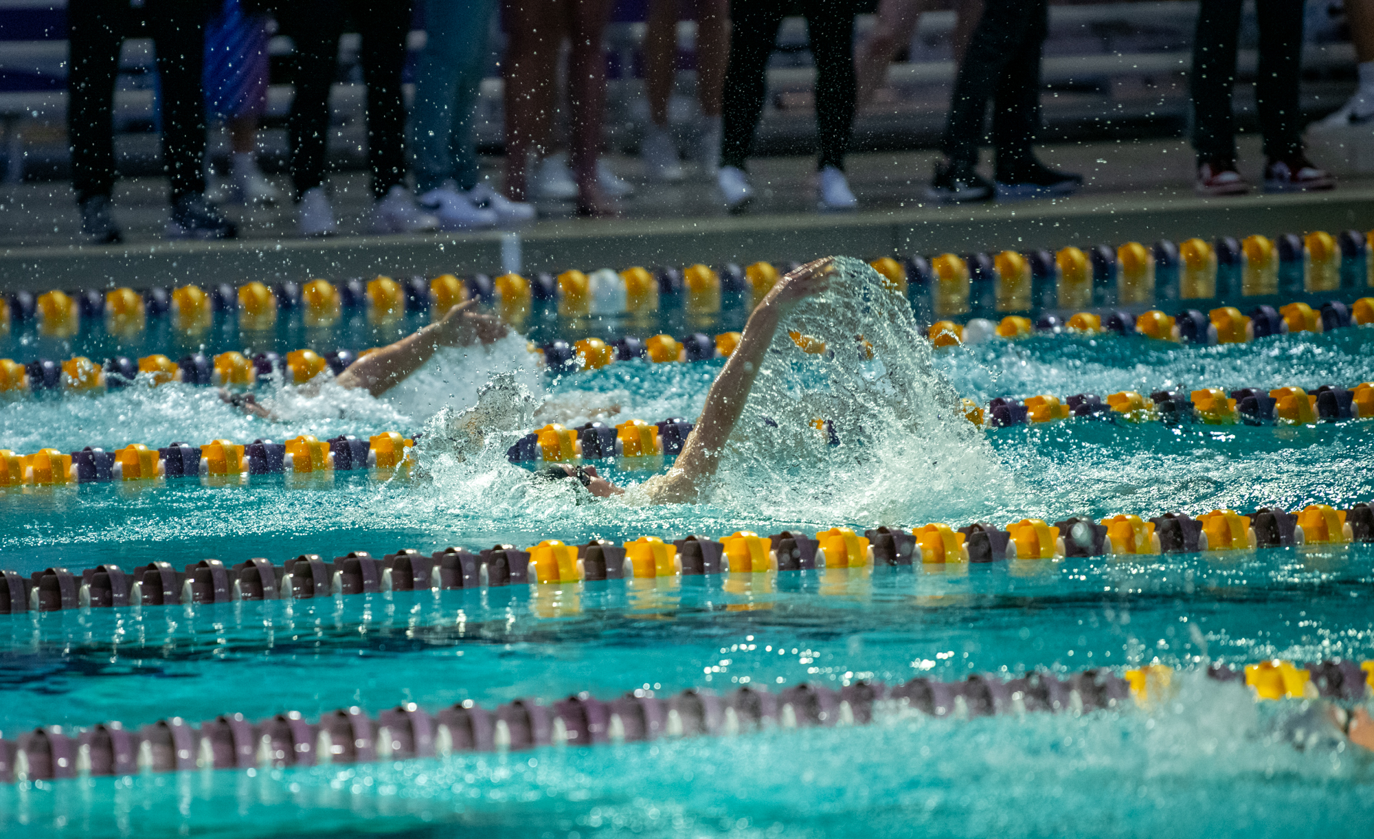 PHOTOS: LSU swimming and diving wins on senior day