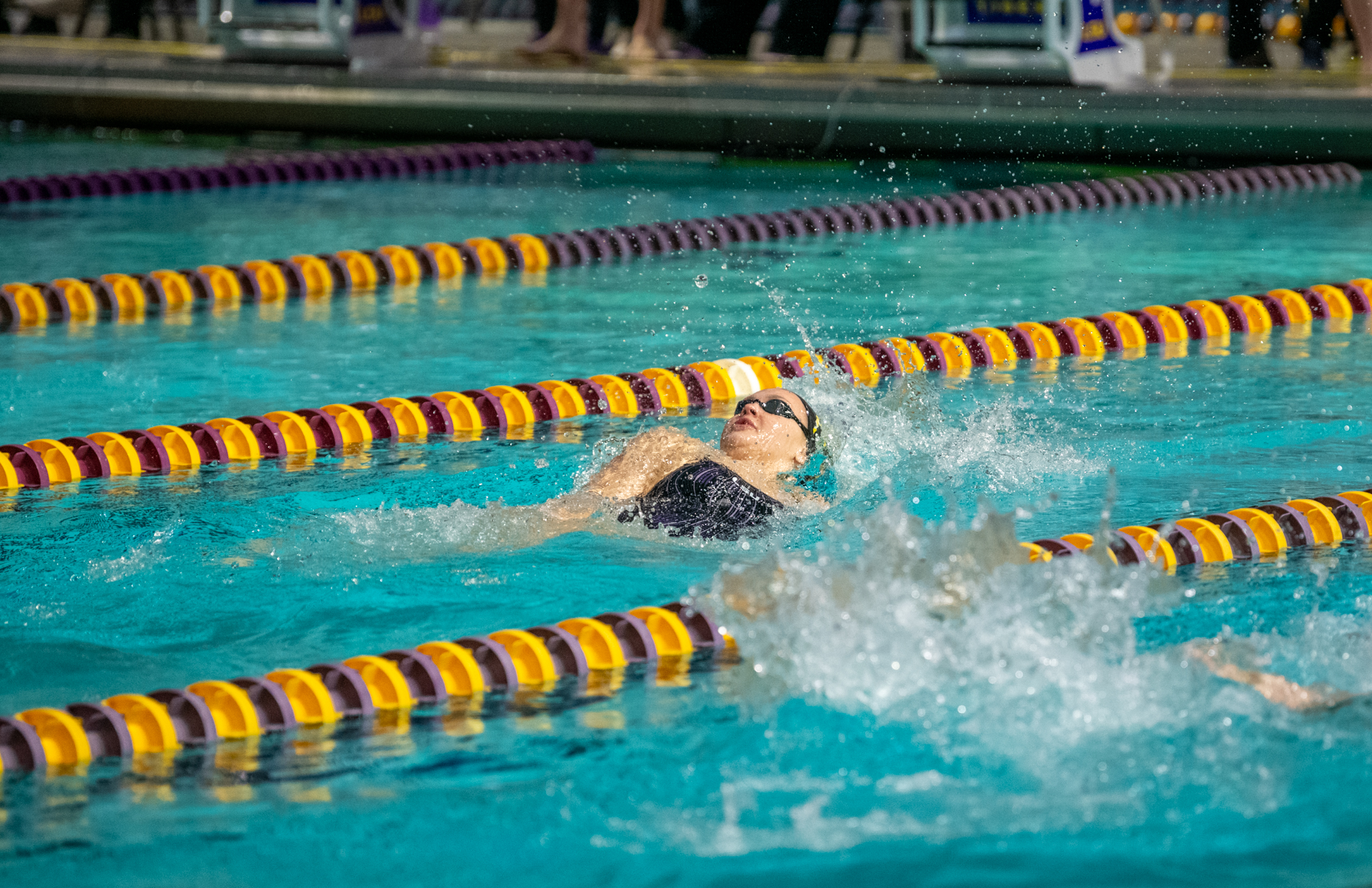 PHOTOS: LSU swimming and diving wins on senior day