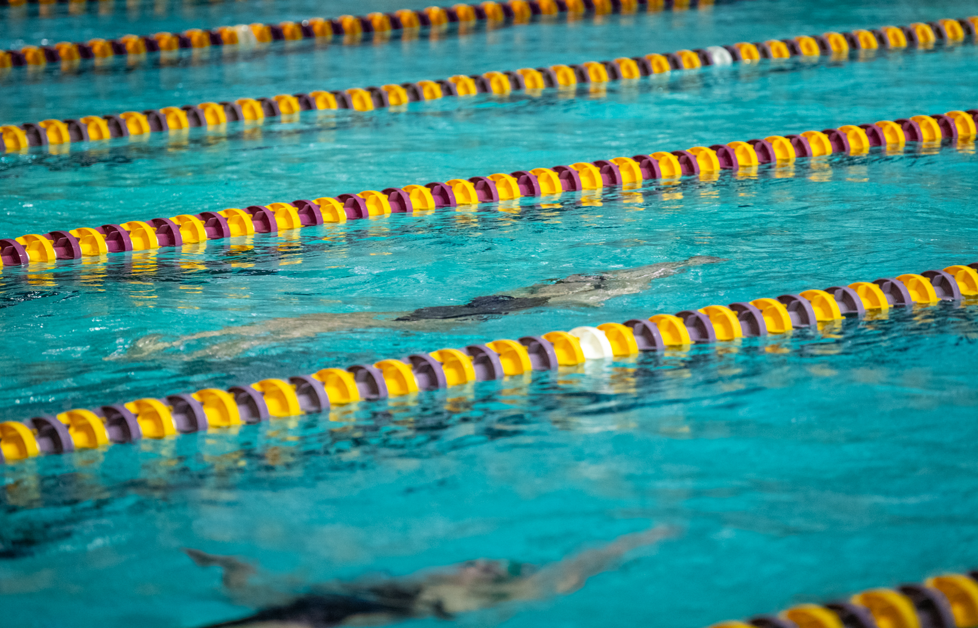 PHOTOS: LSU swimming and diving wins on senior day