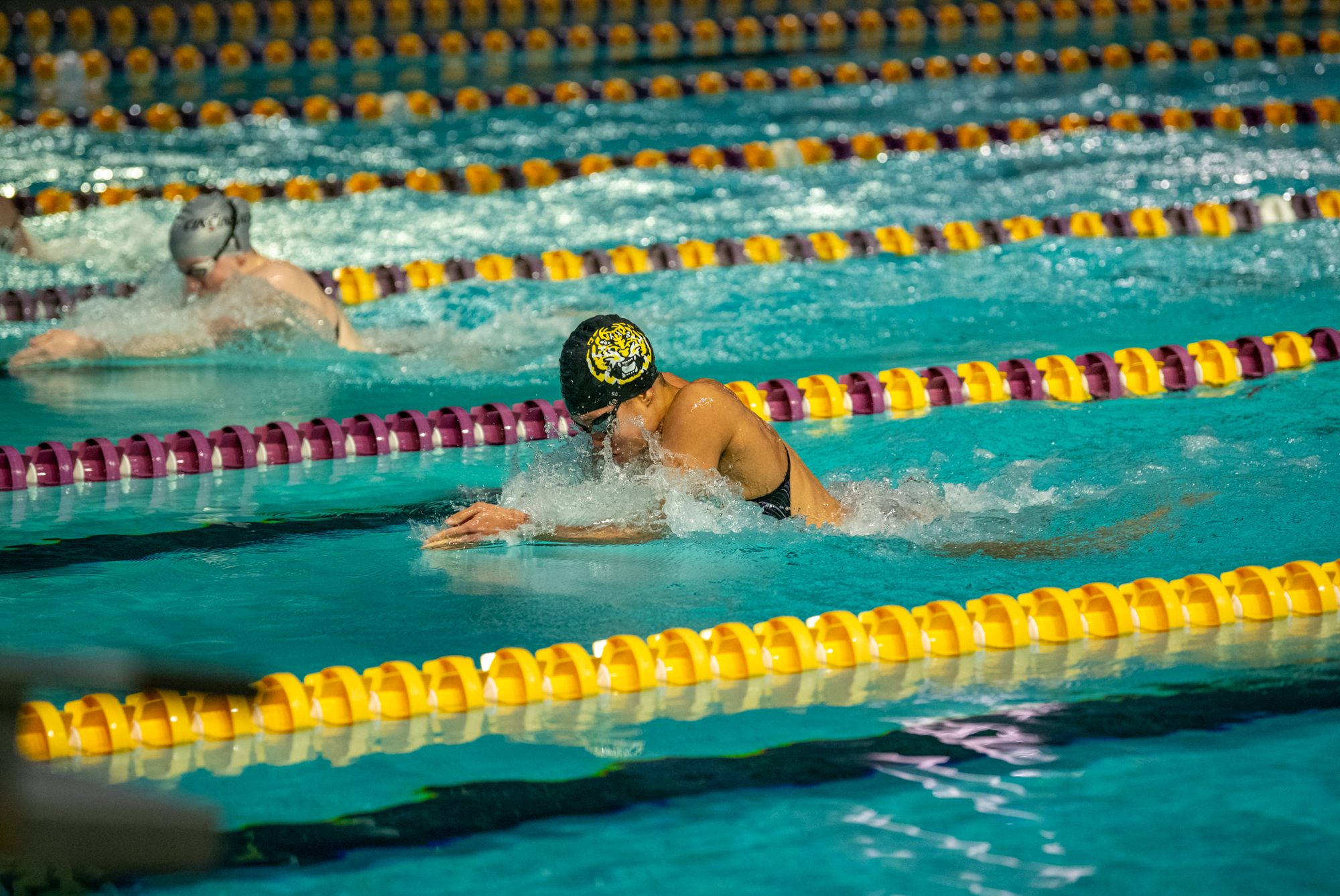 PHOTOS: LSU swimming and diving wins on senior day