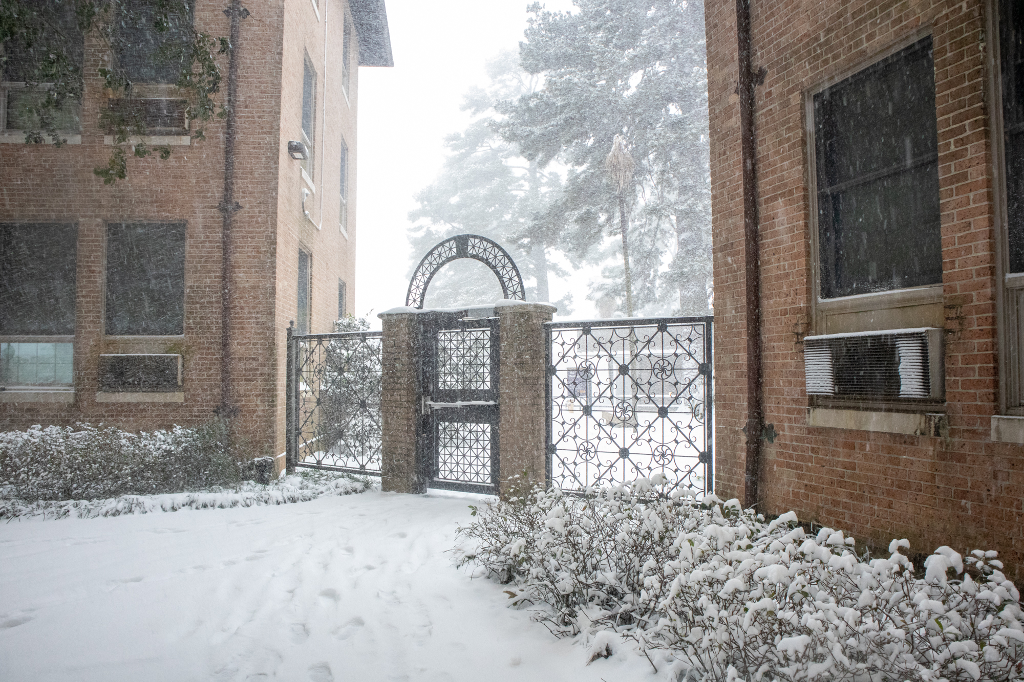 PHOTOS: LSU students enjoy rare snow day